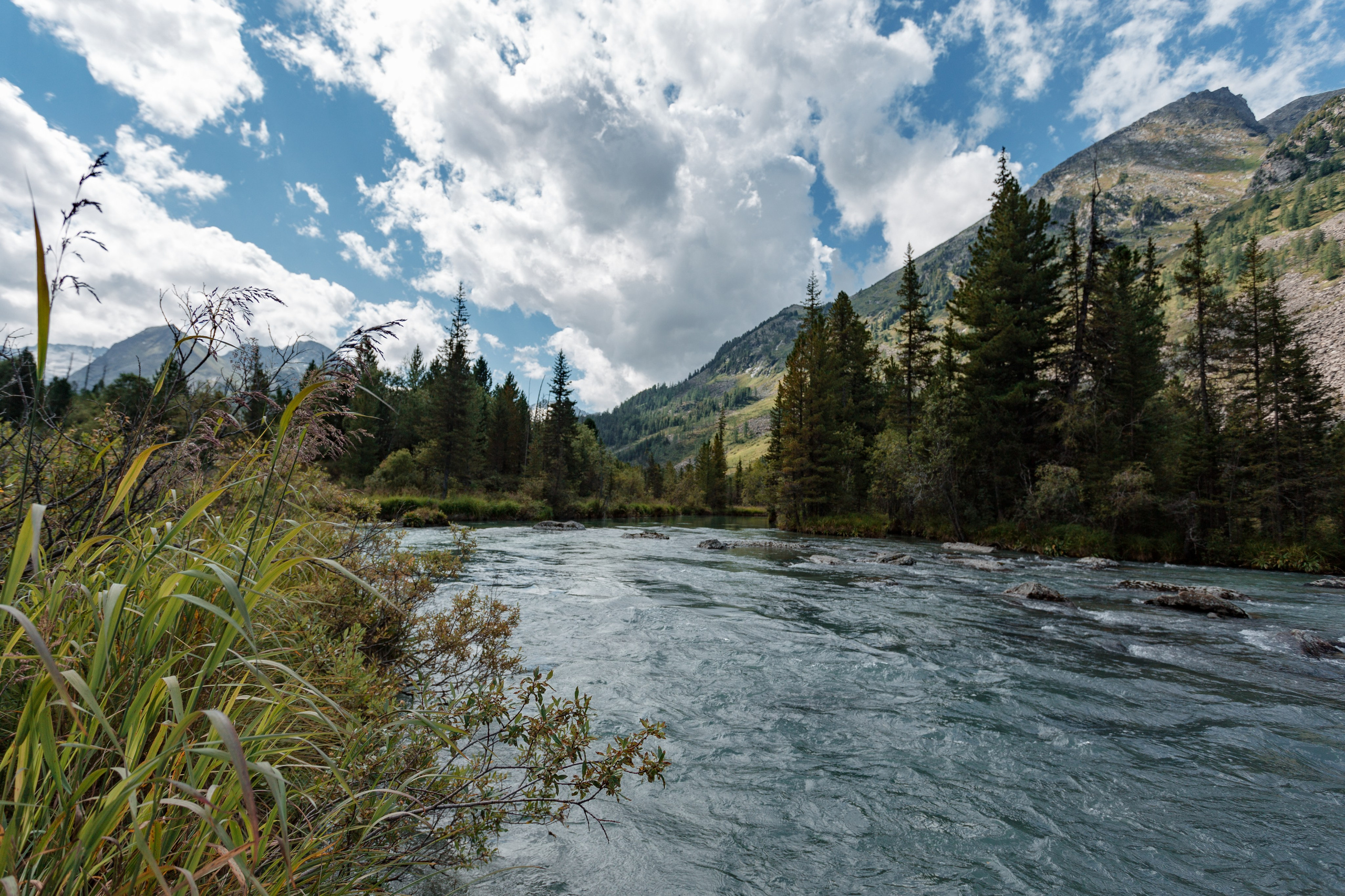 Катунский заповедник, Республика Алтай. Репортажный фотограф в Крыму Ксения Гасица