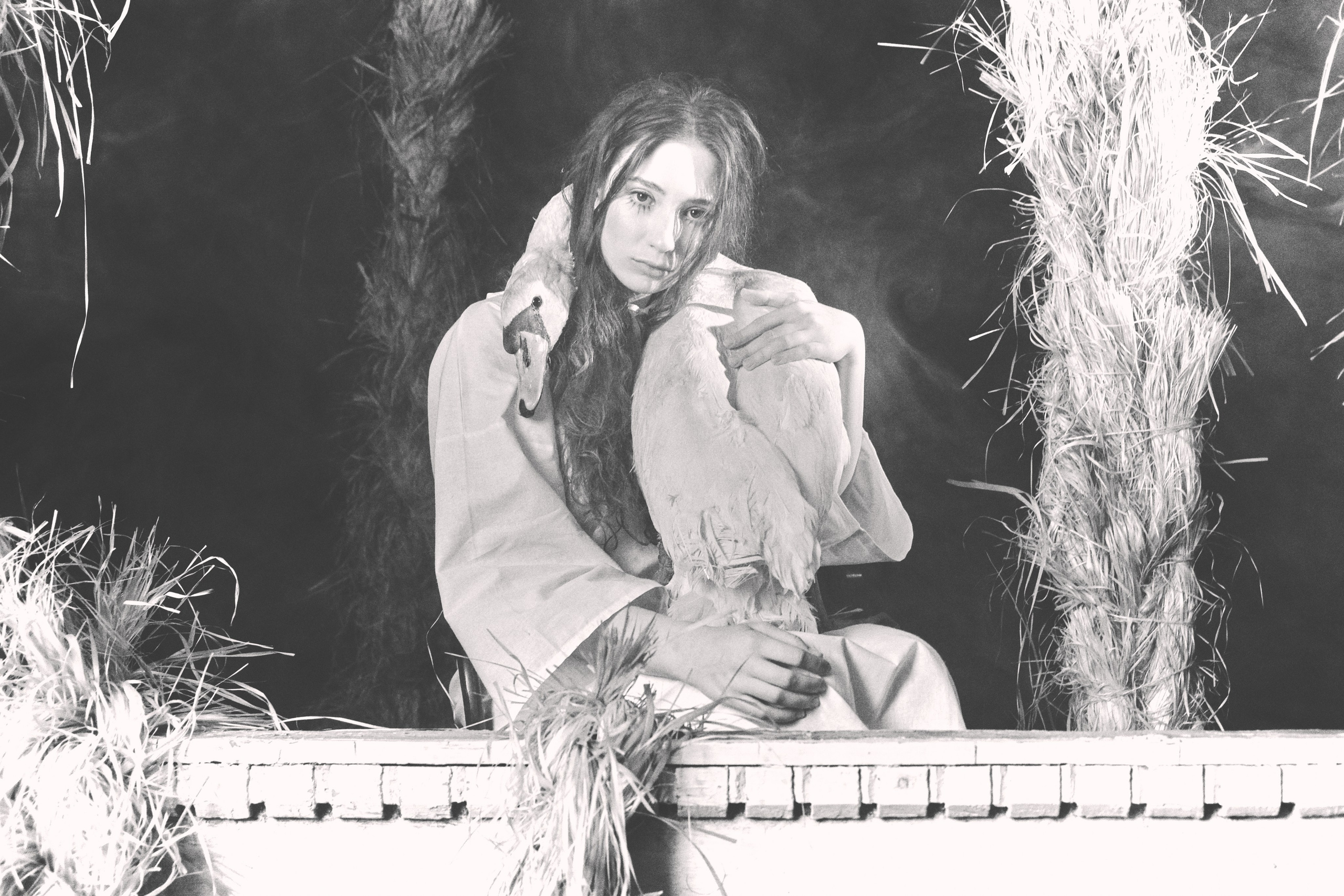 Гуси Лебеди. Фотограф Настя Лев