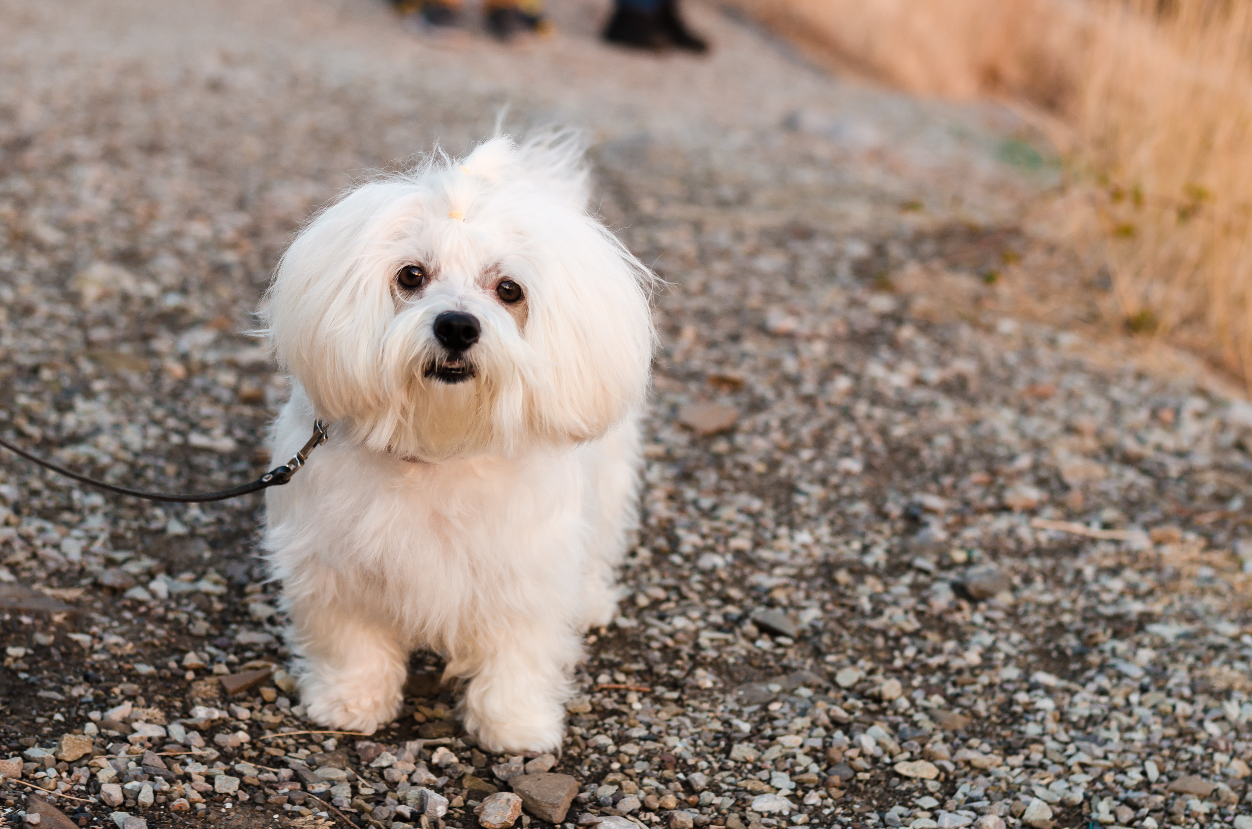 Осеннее море. Семья Пикуленко. Фотограф Ирина Курта