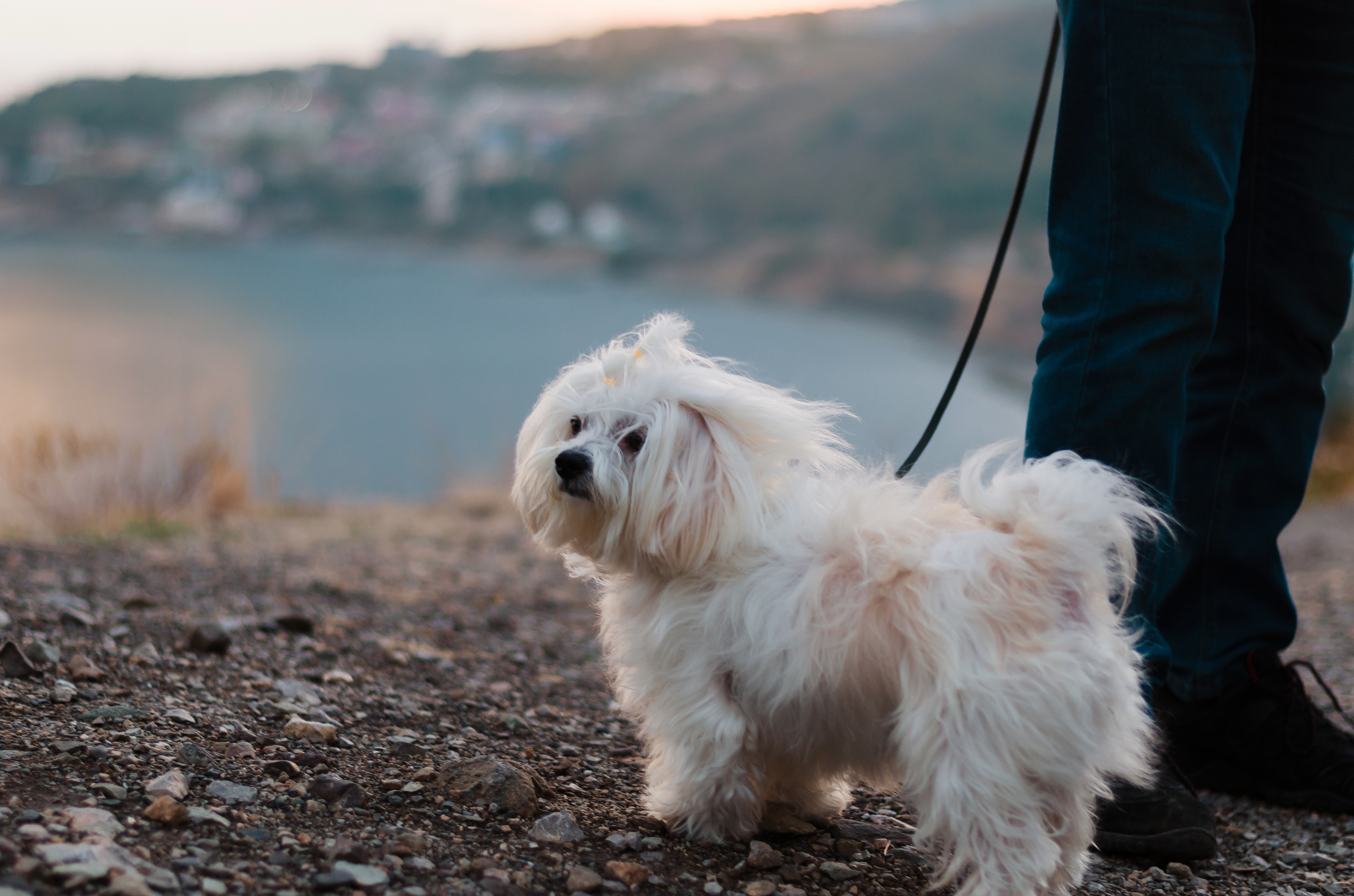 Осеннее море. Семья Пикуленко. Фотограф Ирина Курта