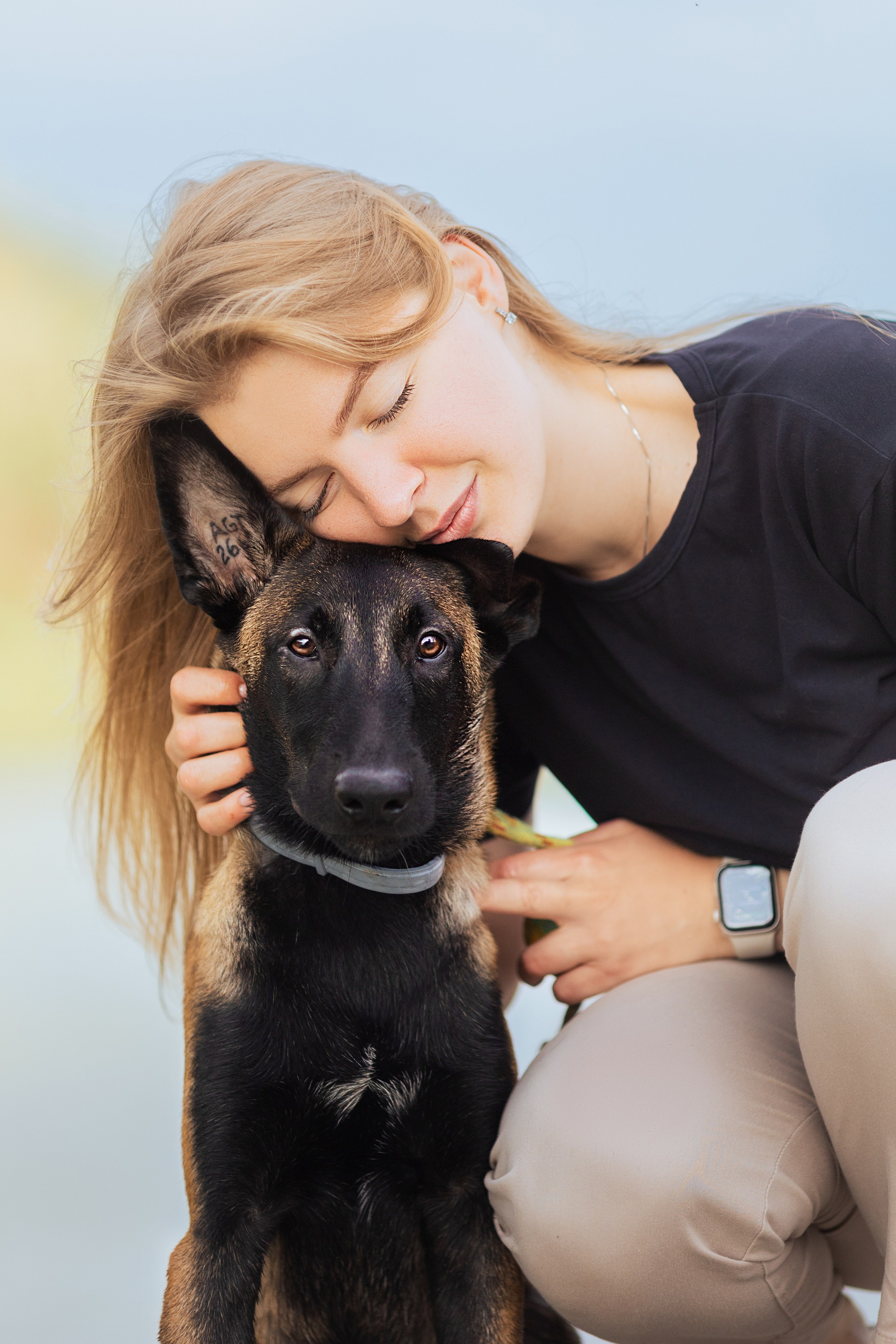 Фотосессии с собаками. Главная