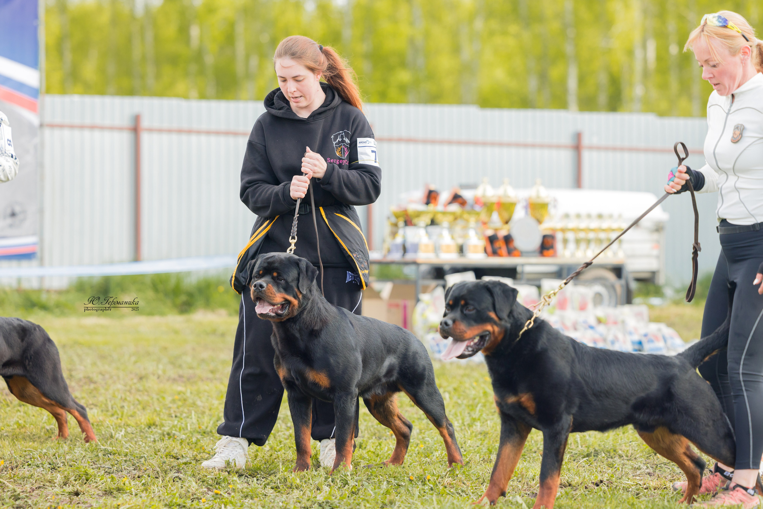 Нижний Новгород 2хмоно ротвейлеров 10-11.05.2025. Фотограф-анималист Юлия Германика