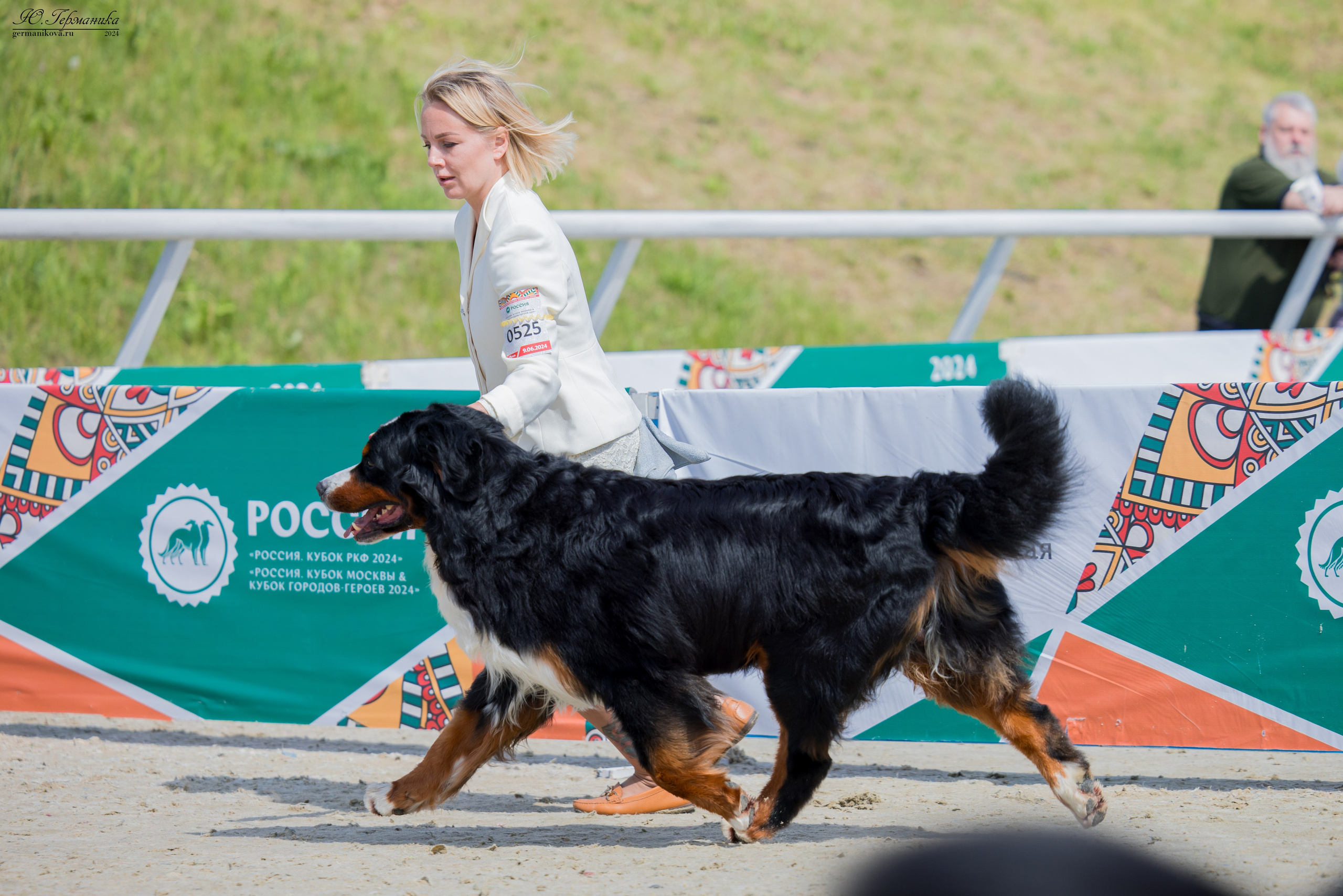 РОССИЯ 8-9.06.2024. Фотограф-анималист Юлия Германика