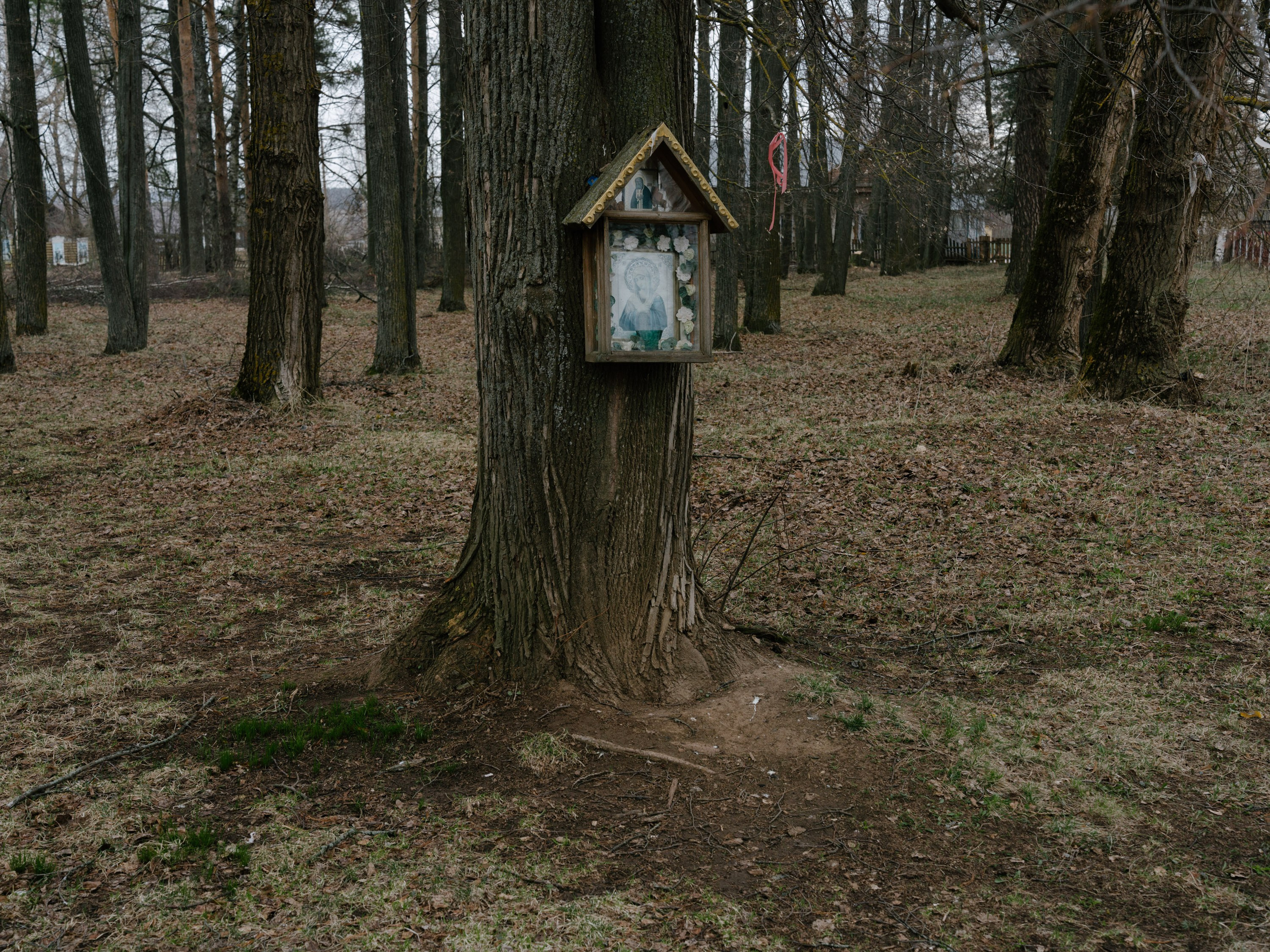 Песни её стороны. Pavel Basin