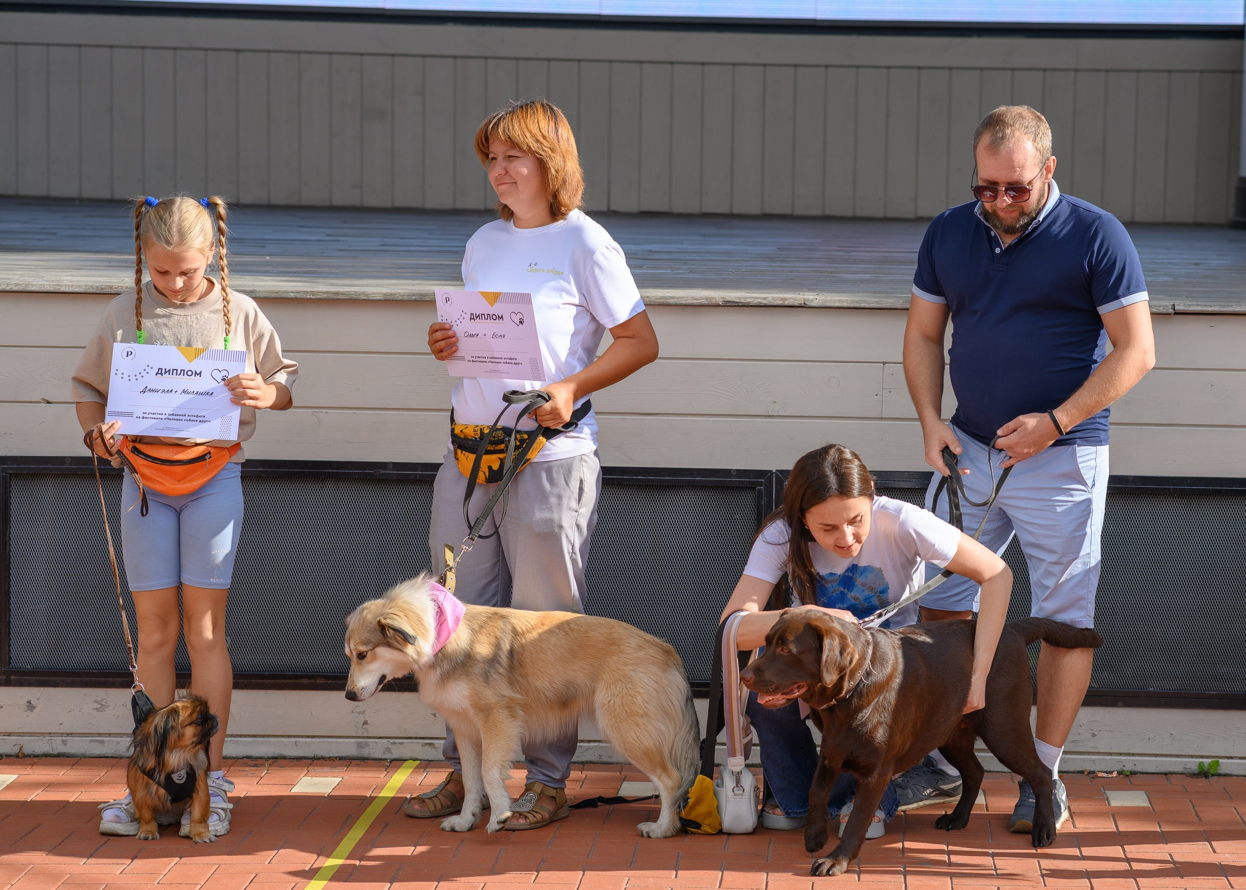 СобачийФест_РынокНаГоре_10082024. Фотограф Александр Данилов