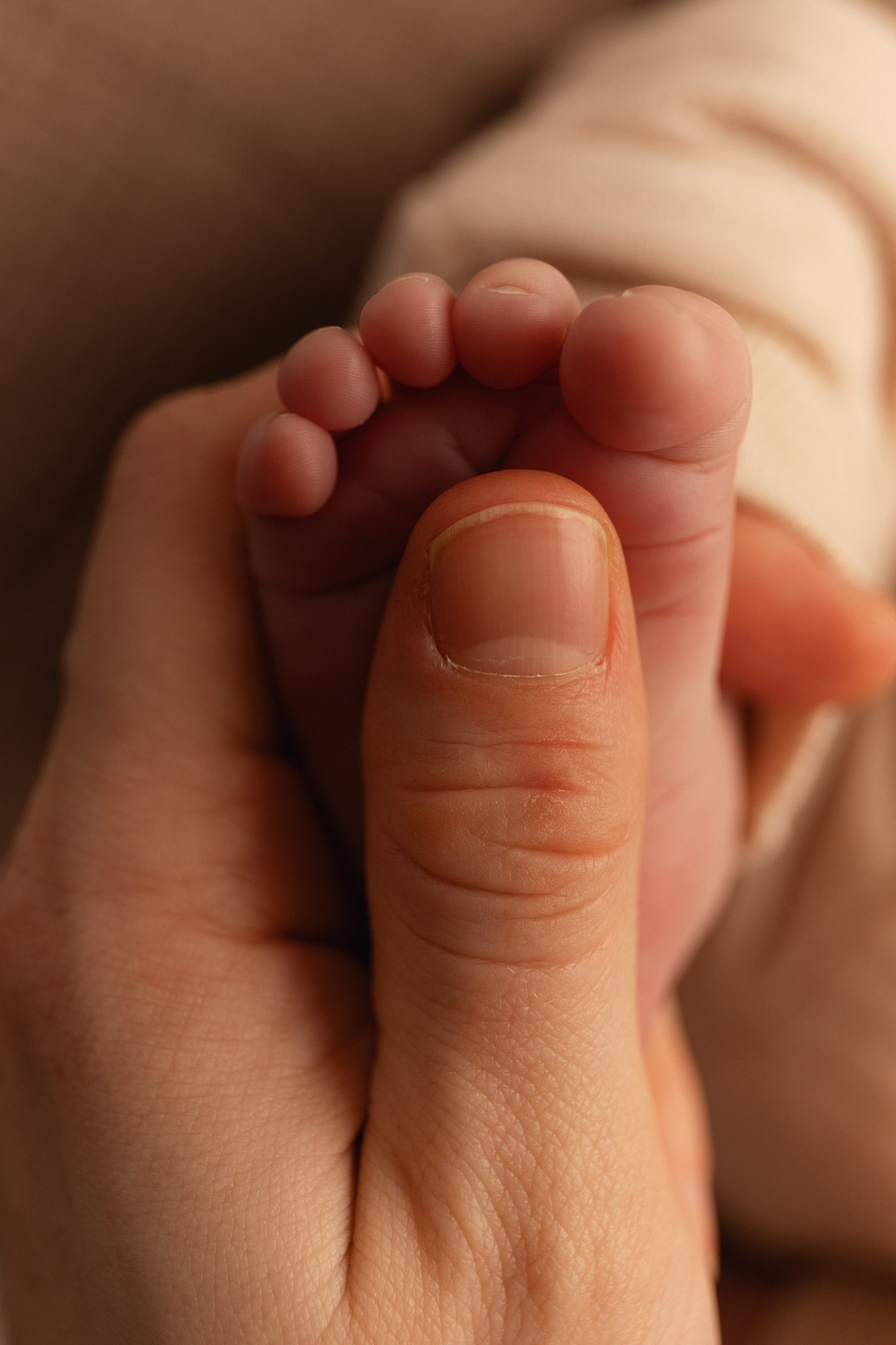 Фотосессия новорожденных в Мурманске, фотограф новорожденных. Мария Махинина — фотограф в Мурманске и Североморске