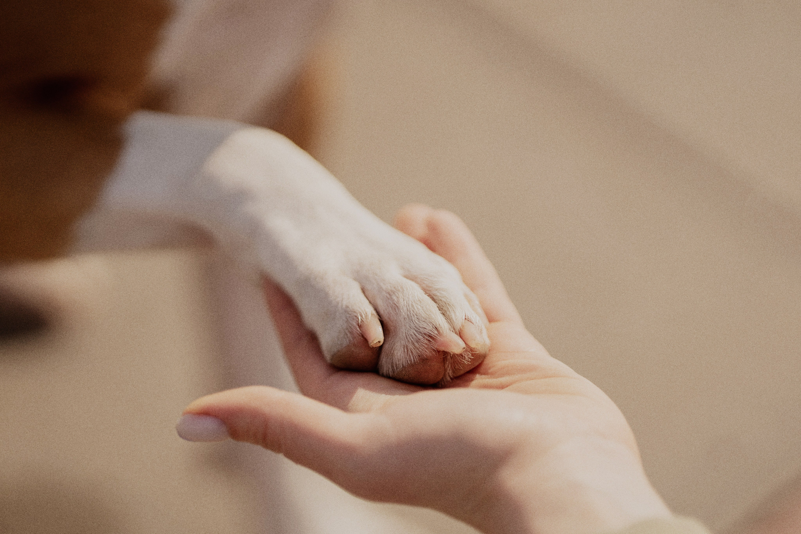 Луна. Kameramotor74