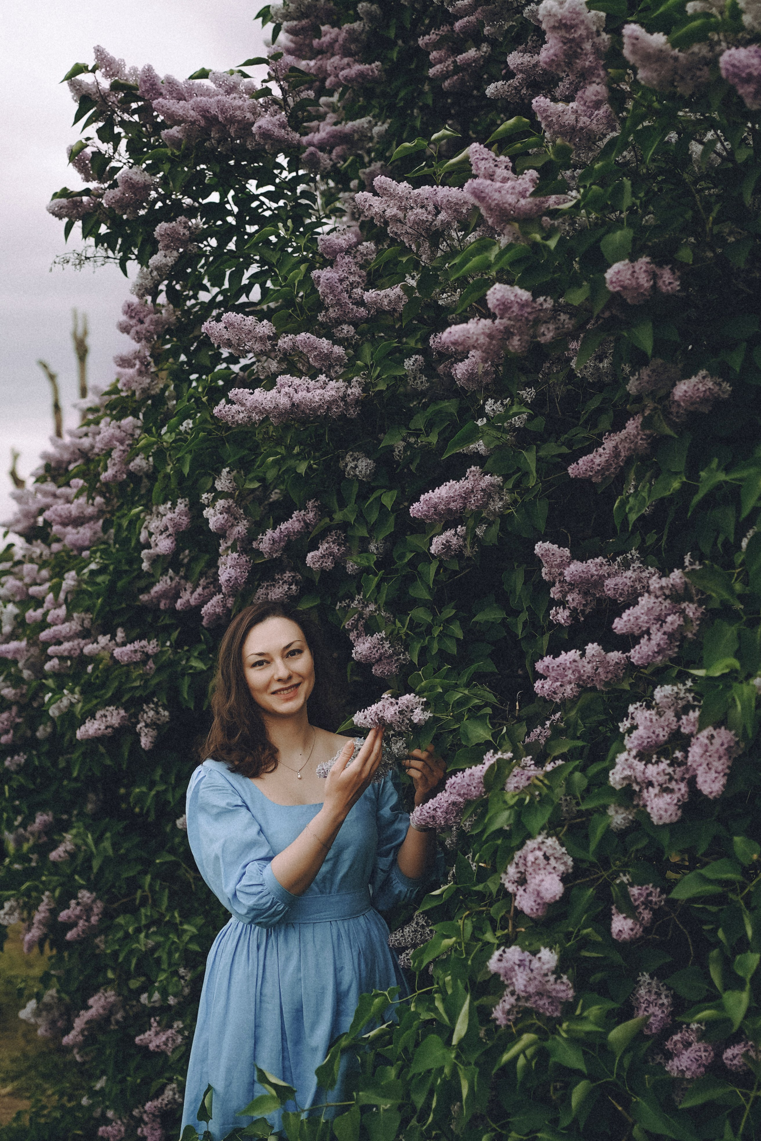 Сиреневый сон. Фотограф Наталья Колганова