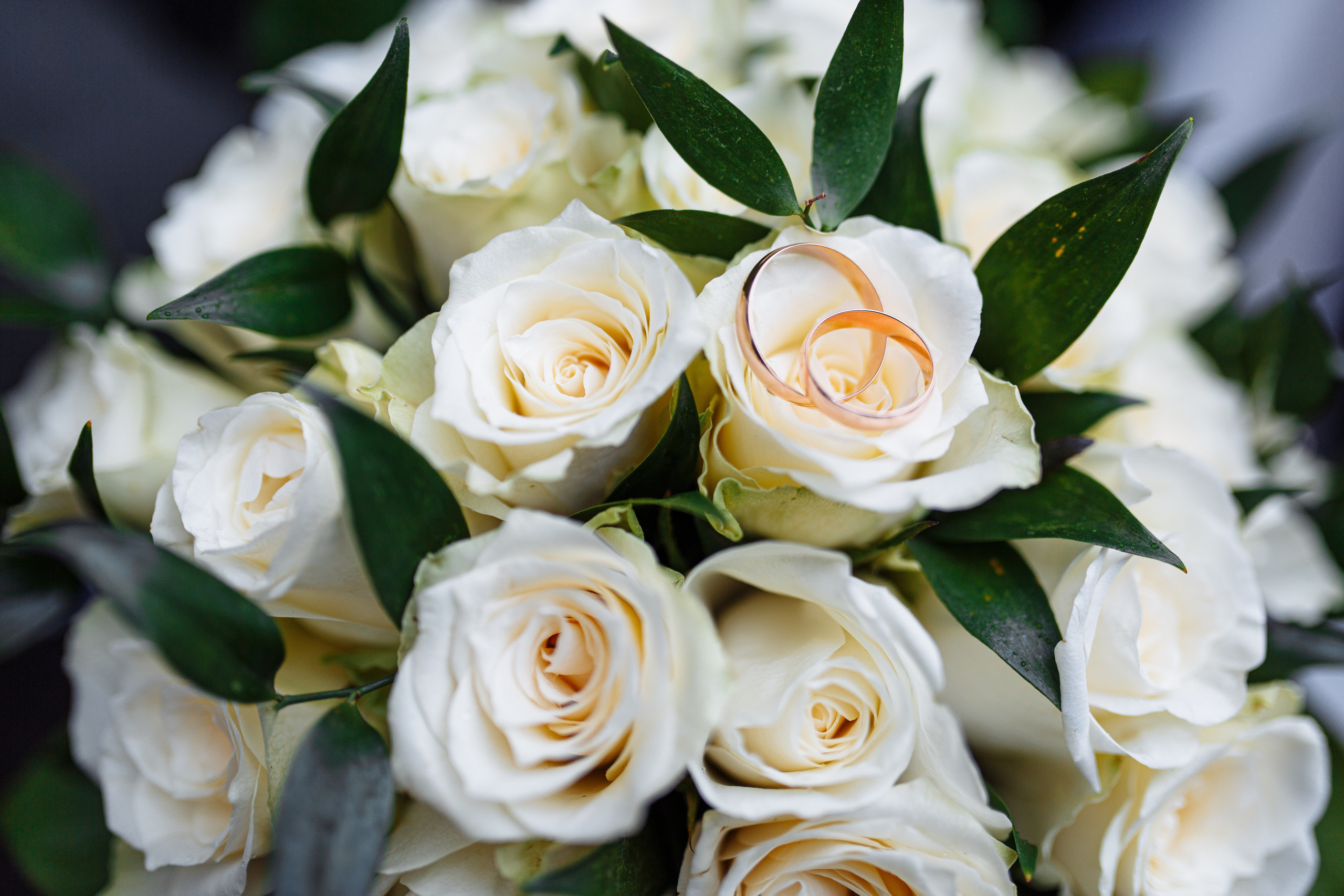 Алексей и Екатерина 20.11.2020 г. Смоленск. Фотограф в Смоленске Ольга Давыдова