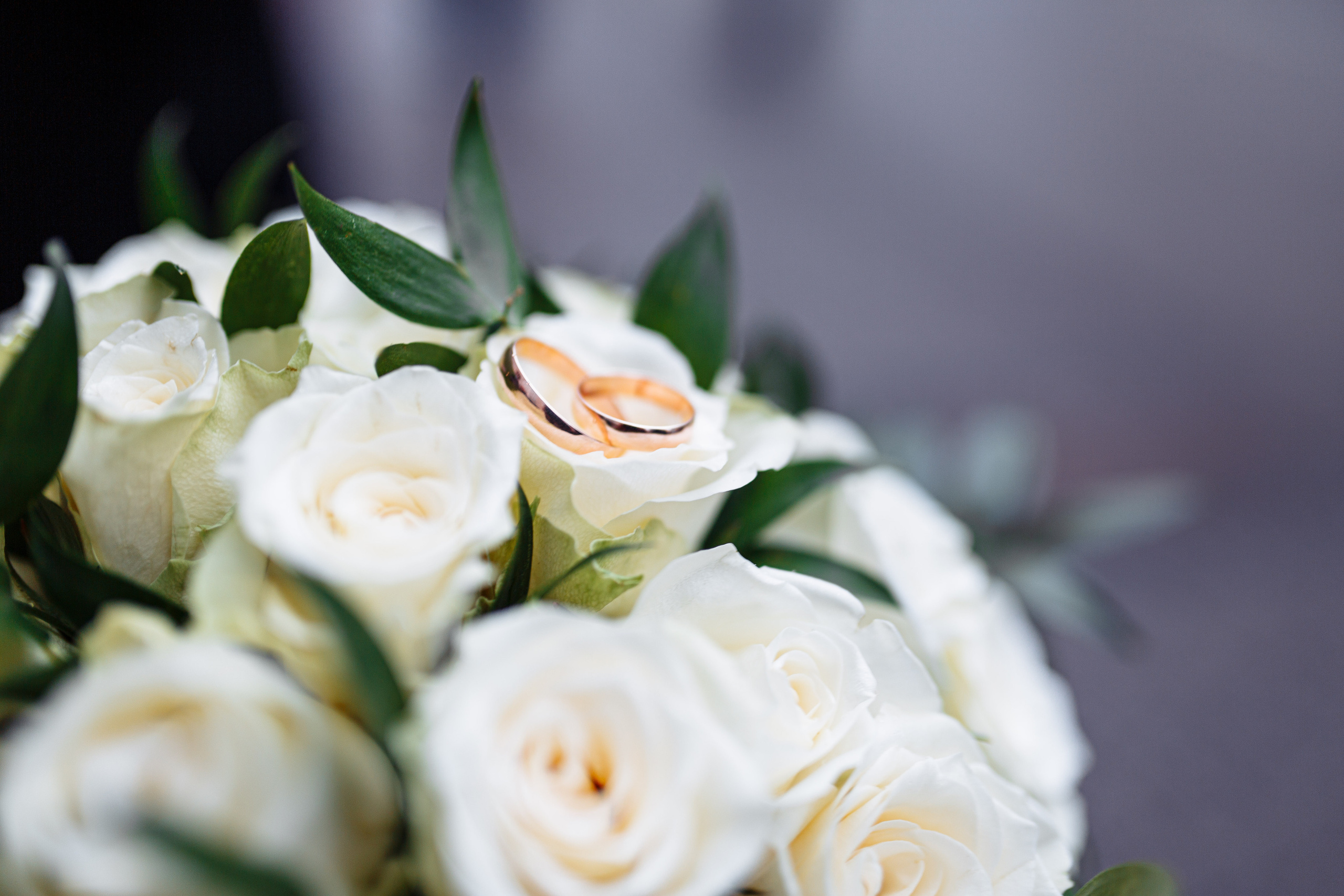 Алексей и Екатерина 20.11.2020 г. Смоленск. Фотограф в Смоленске Ольга Давыдова