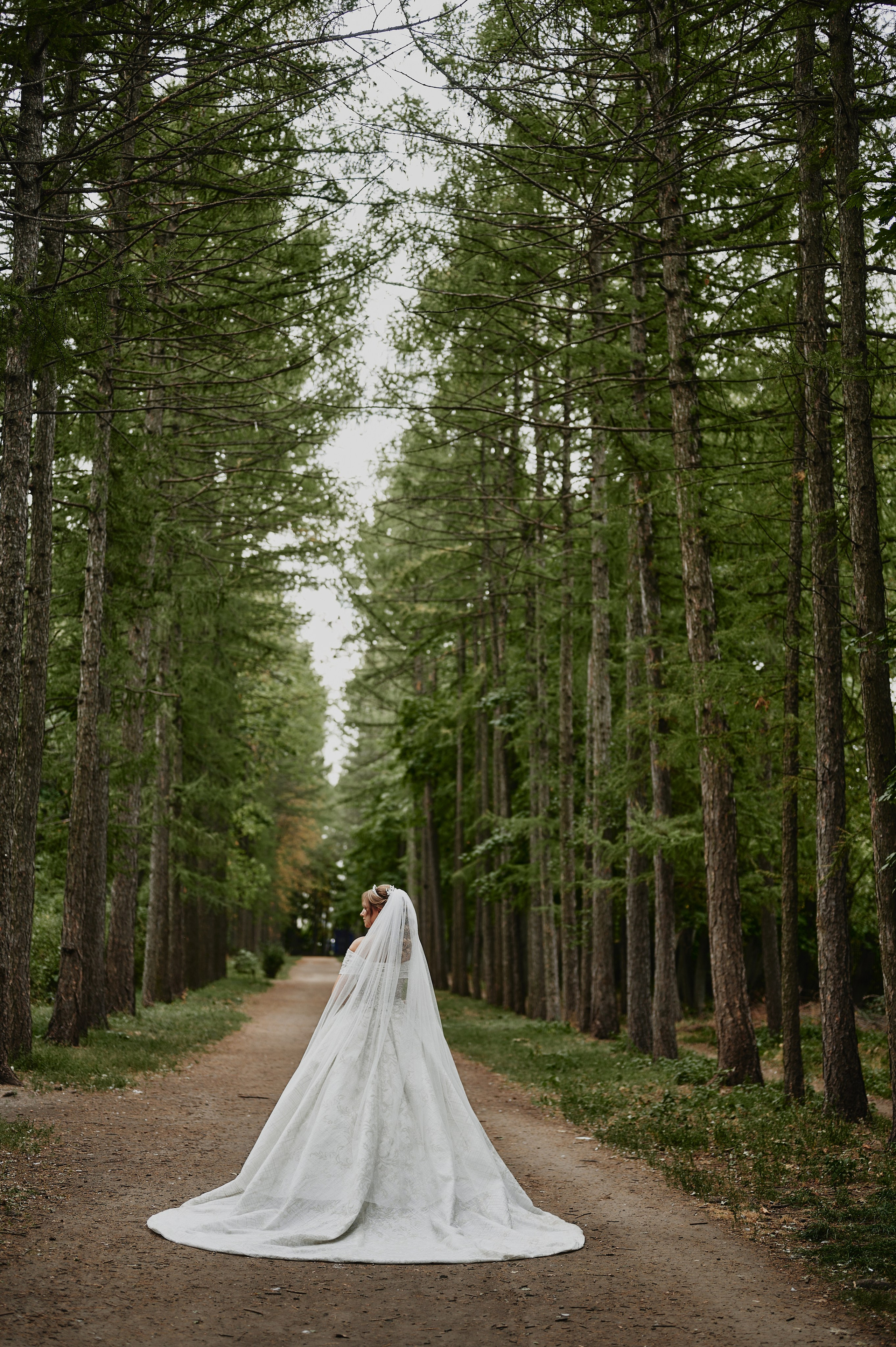 Иван и Эльвира. Фото-видеосъемка свадеб Venson Films