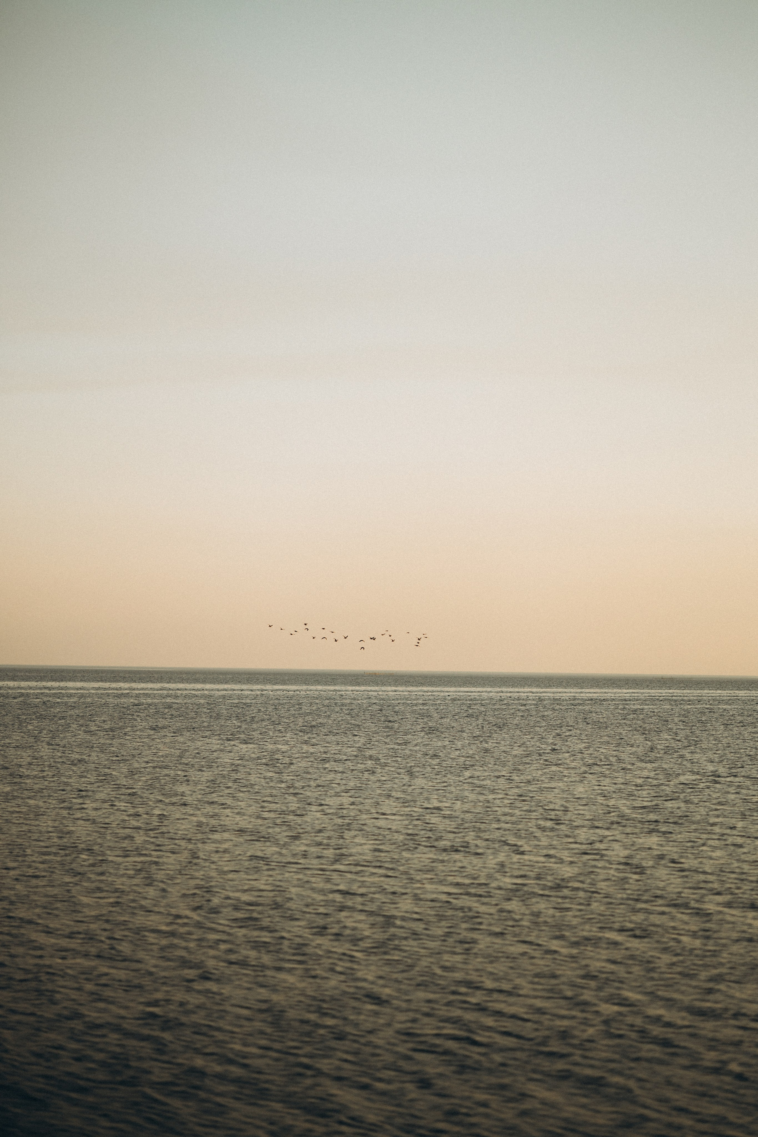 Мама и дочка, такая нежная весна. Семейный и детский фотограф, таганрог, ростов-на-дону