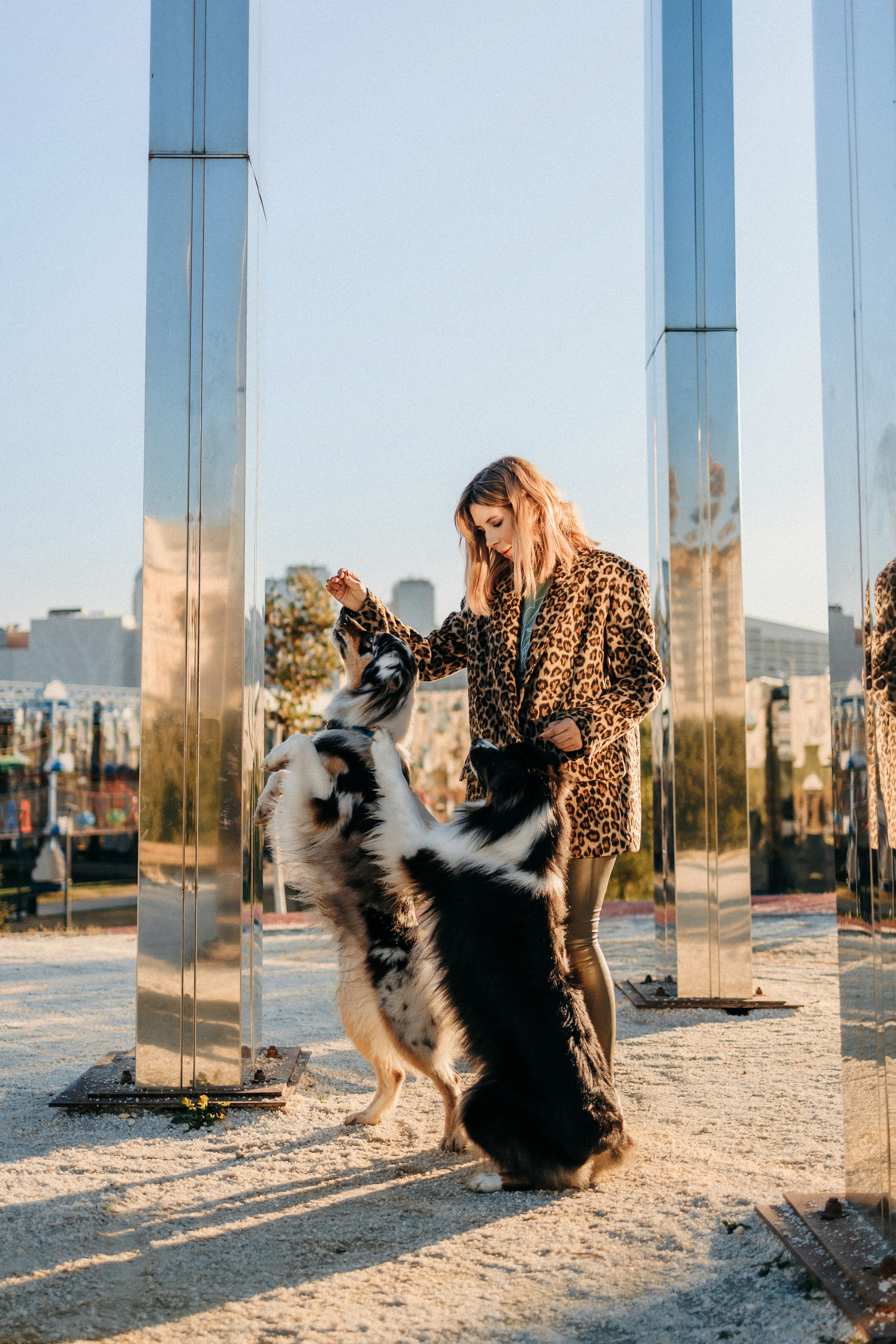 Аня, Чарли и Ева. Фотограф-анималист Елена Радченко, Москва