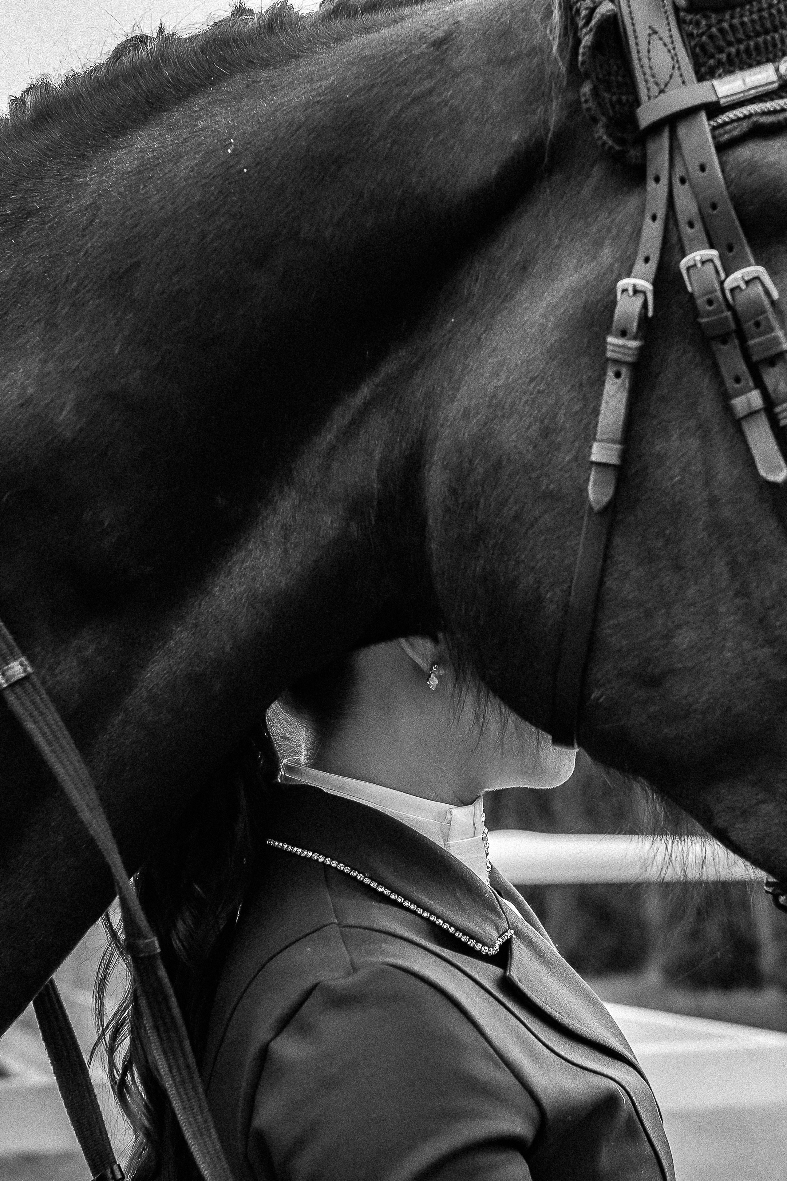 Конная прогулка. Тома и Кеша. Профессиональный фотограф, Москва |Видное Елена Елизарова
