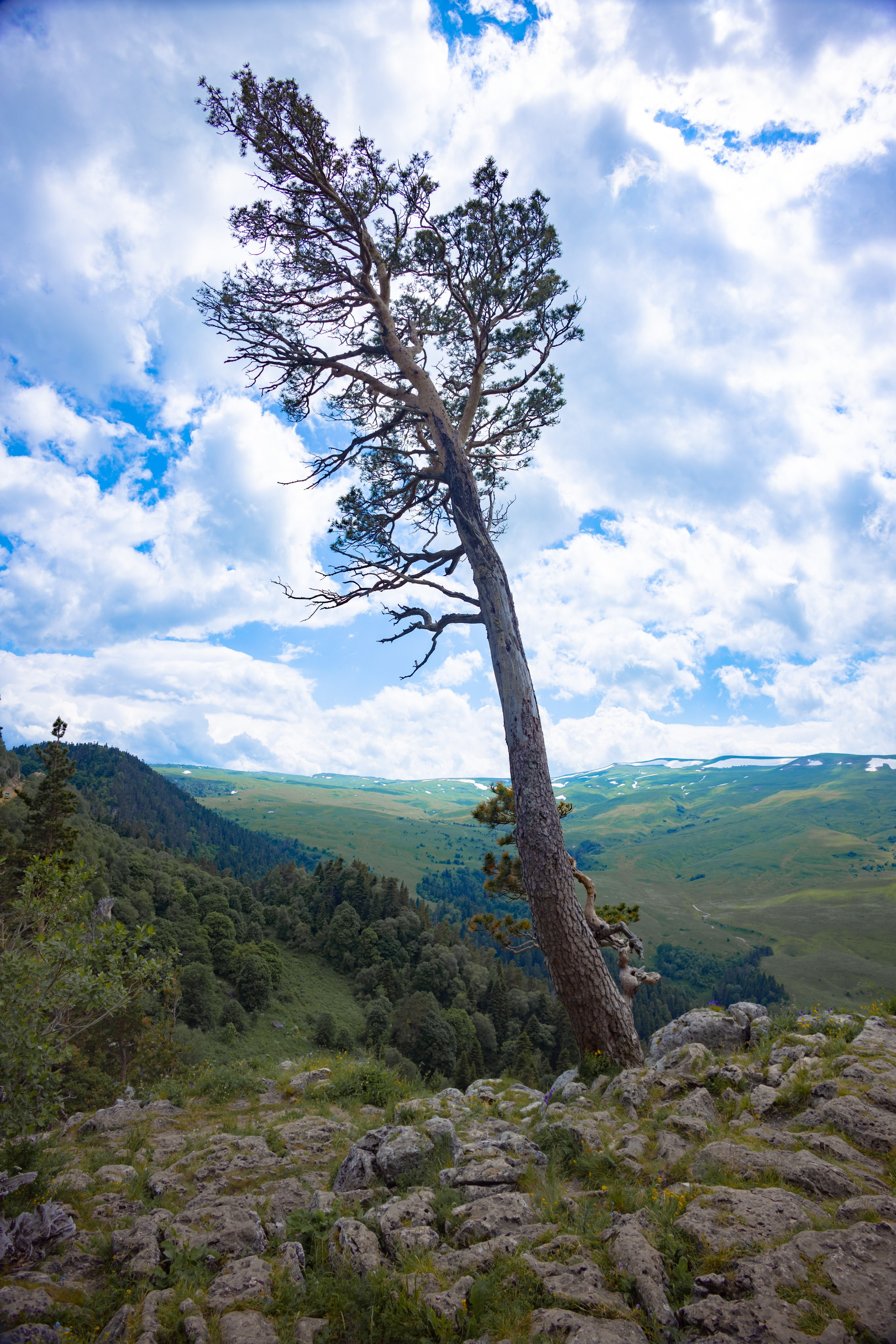 Осень. Профессиональный фотограф и видеооператор