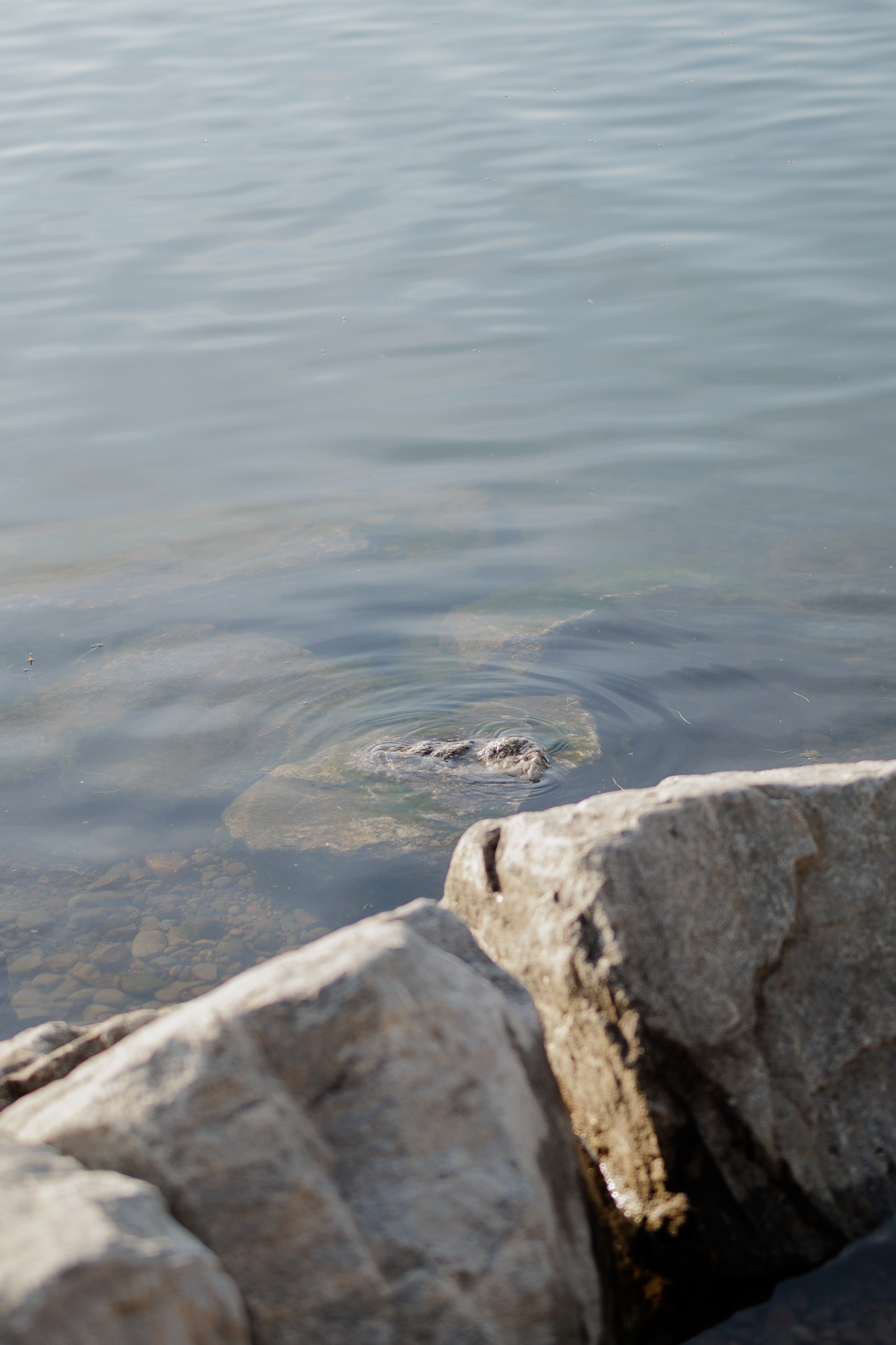 Рядом с тобой я стала лучше. Свадебный фотограф