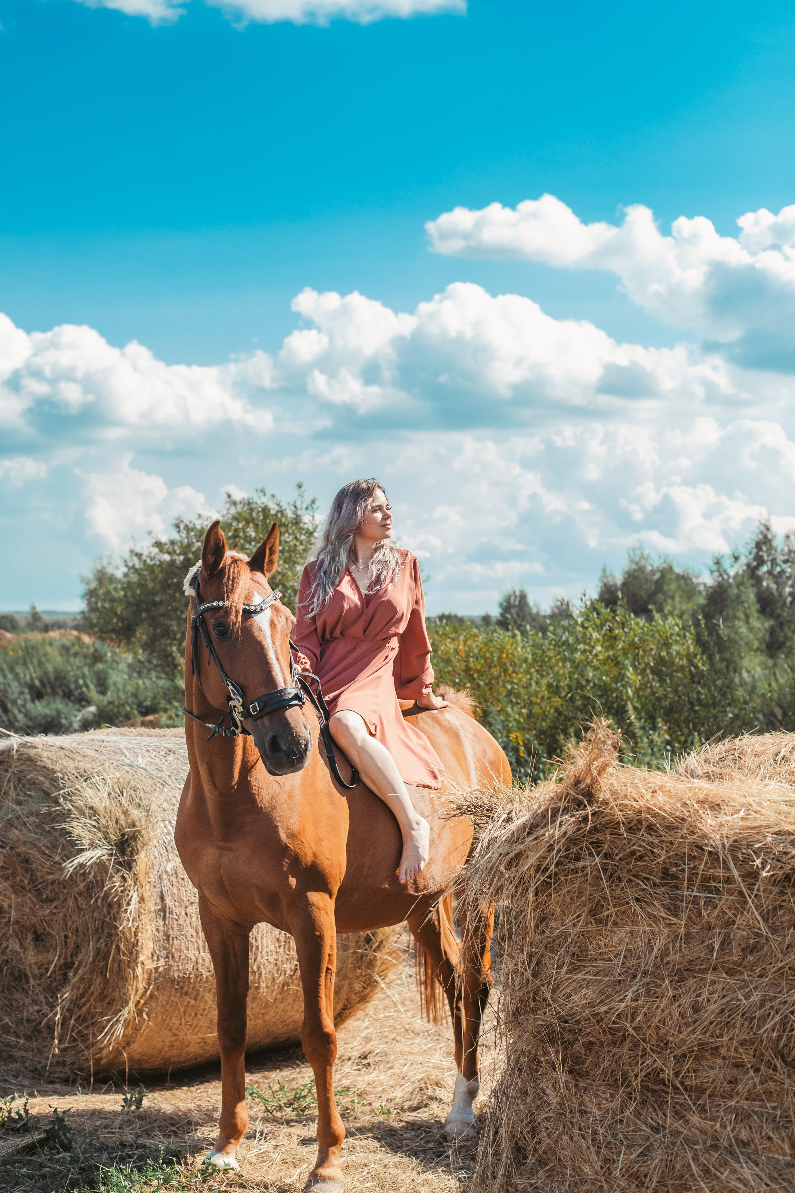 Экспресс фотопрогулка на конюшне. Фотограф-анималист Татьяна Степанова