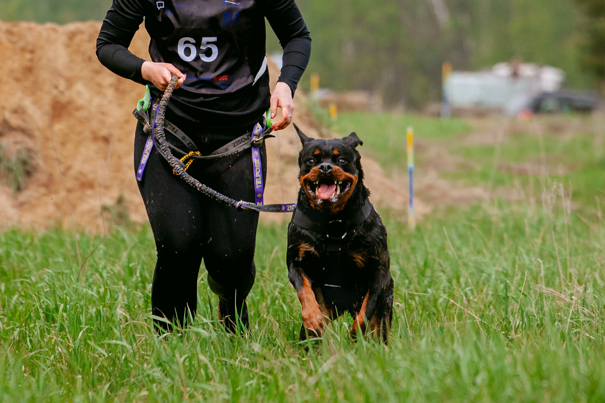 Русский экстрим кросс в Рязанской области 17.05.2025. Фотограф-анималист Татьяна Степанова