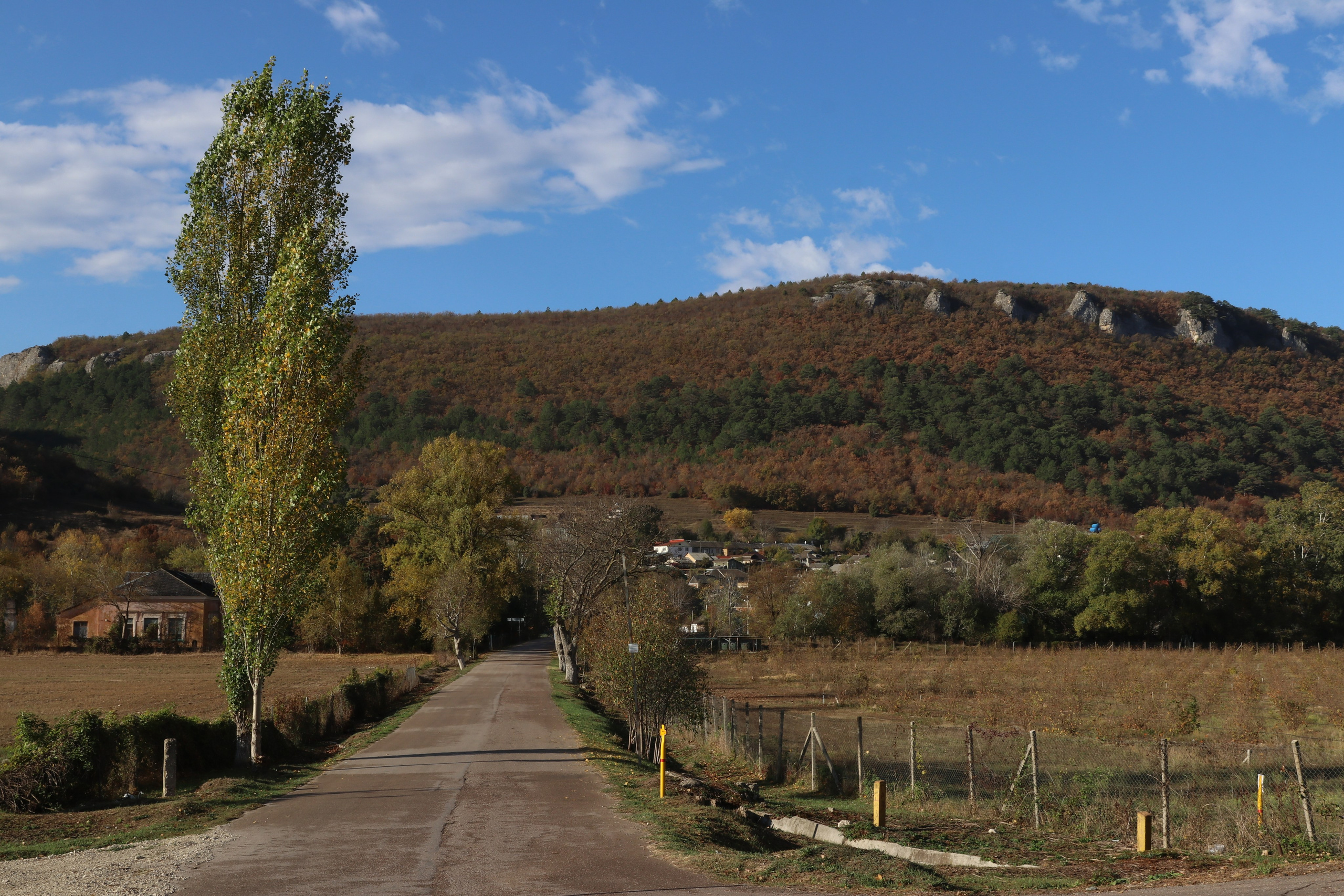 Крым. ЮБК (Гурзуф, Судак и их окрестности). Ноябрь 2023. Путешественник-фотограф из Санкт-Петербурга Татьяна Свистулина