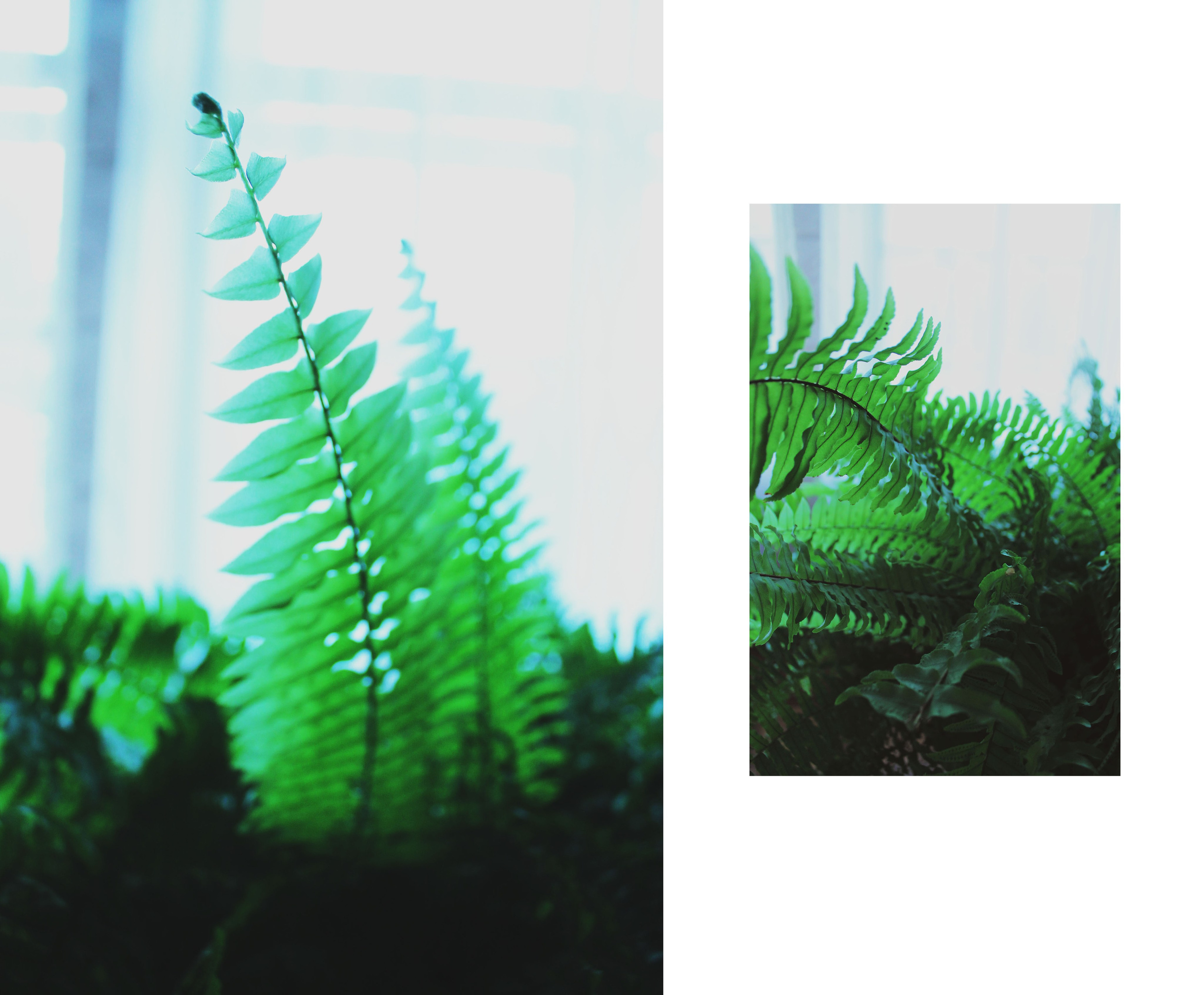 Мои первые работы. Фотограф из Москвы — DASHA NOVA | Авторская фотография в разных жанрах