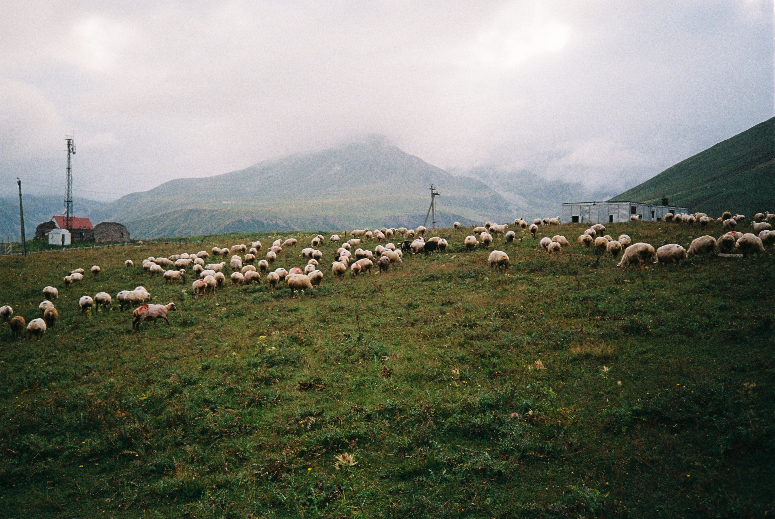 35мм. Katyavasileva