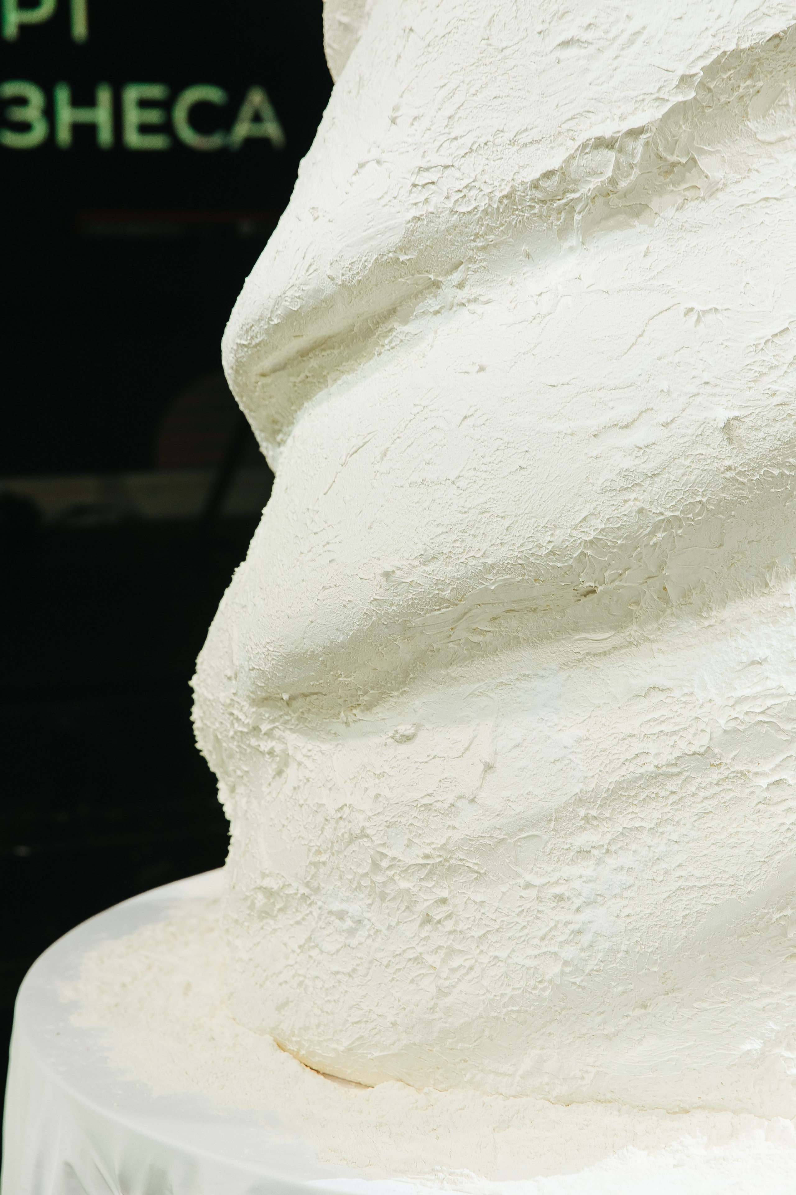 Сосны. Фотограф в Красноярске Любовь Малеева