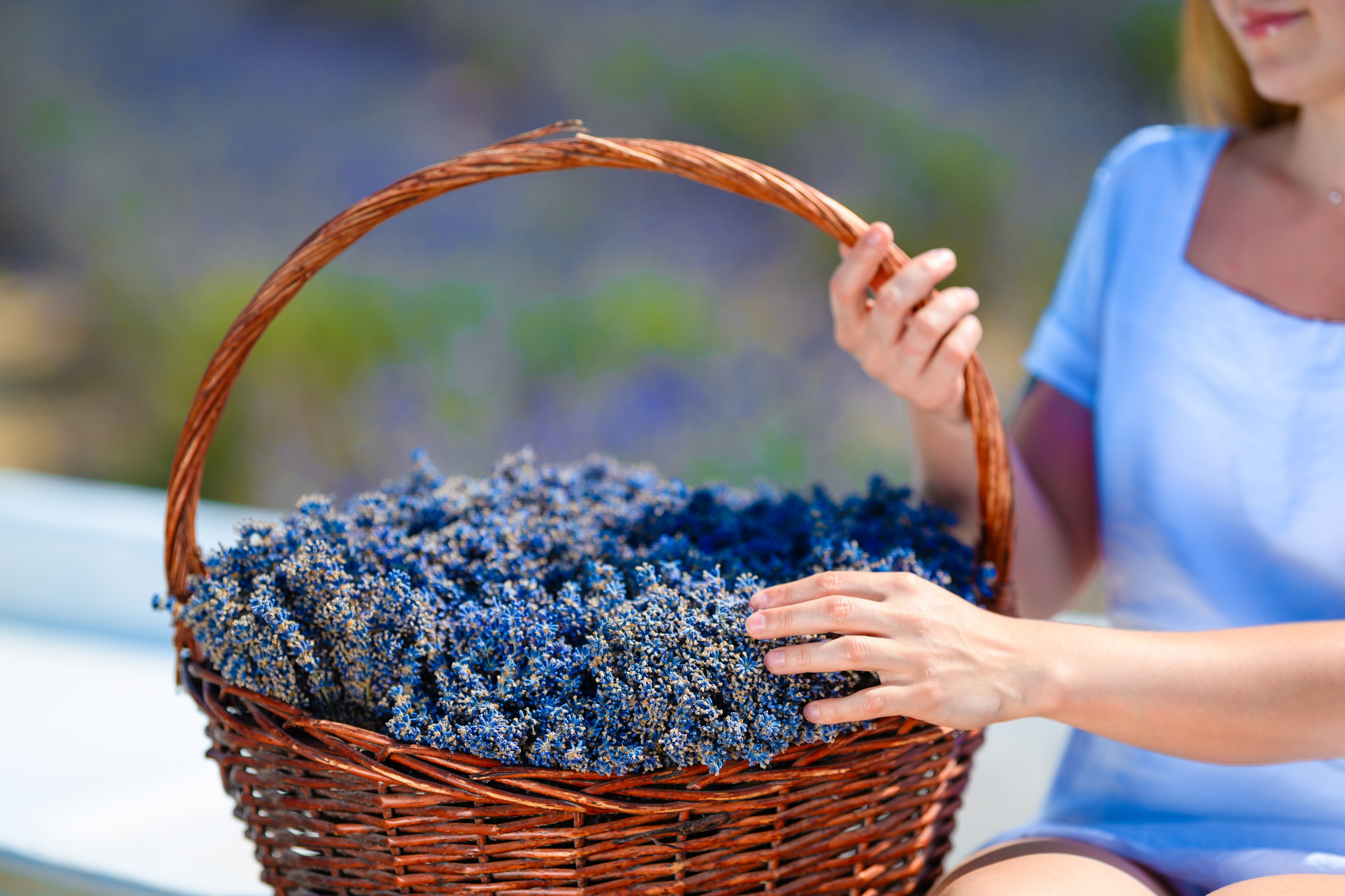 Выездные и прогулочные фотосессии. Морские, Street. Студийный и свадебный фотограф и видеограф в Севастополе — Юлия Макаренко