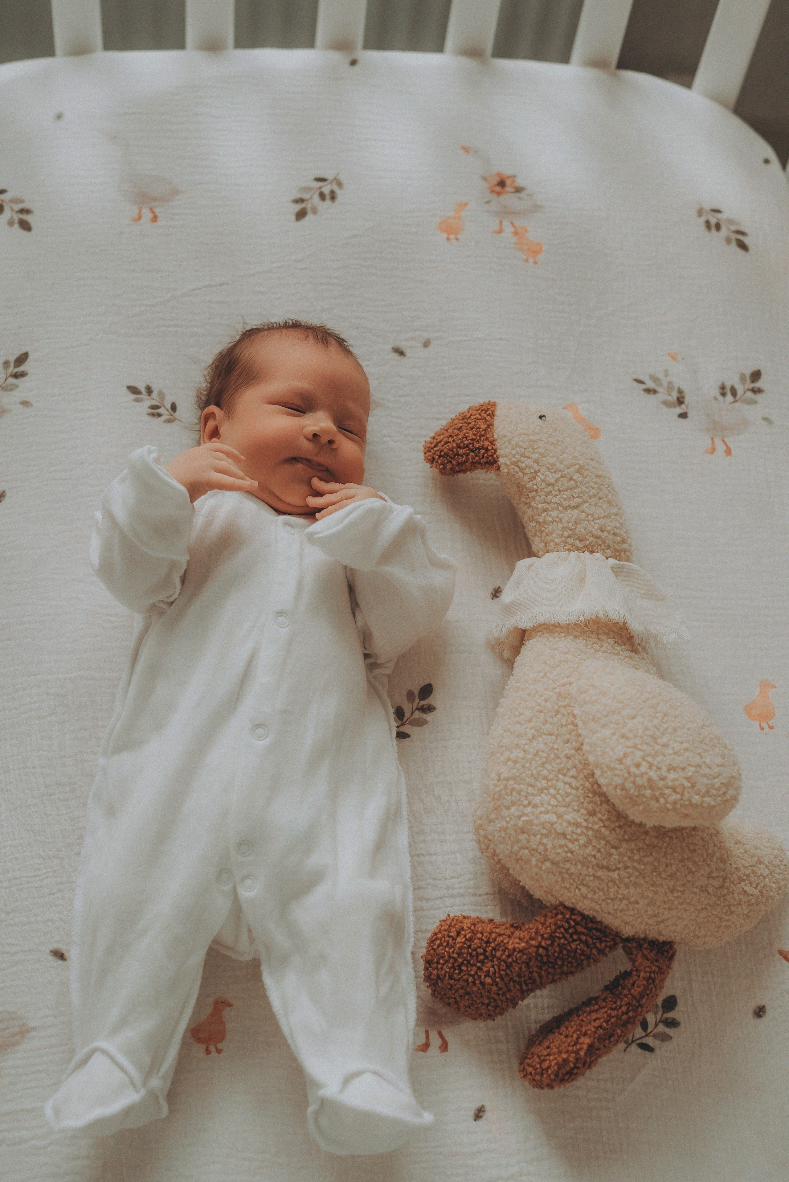 Домашняя фотосессия новорожденной Кати. Семейный и детский фотограф Кущ Наташа