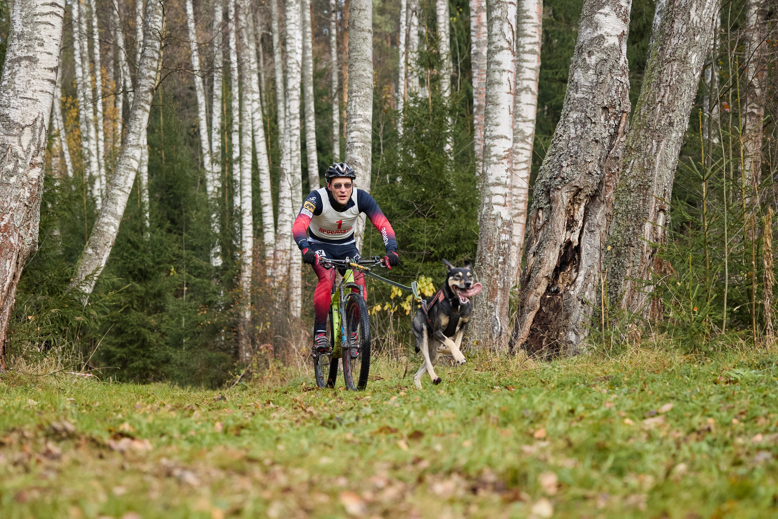 Чемпионат по ЕС Ярославской области. Фотограф Ирина Астор
