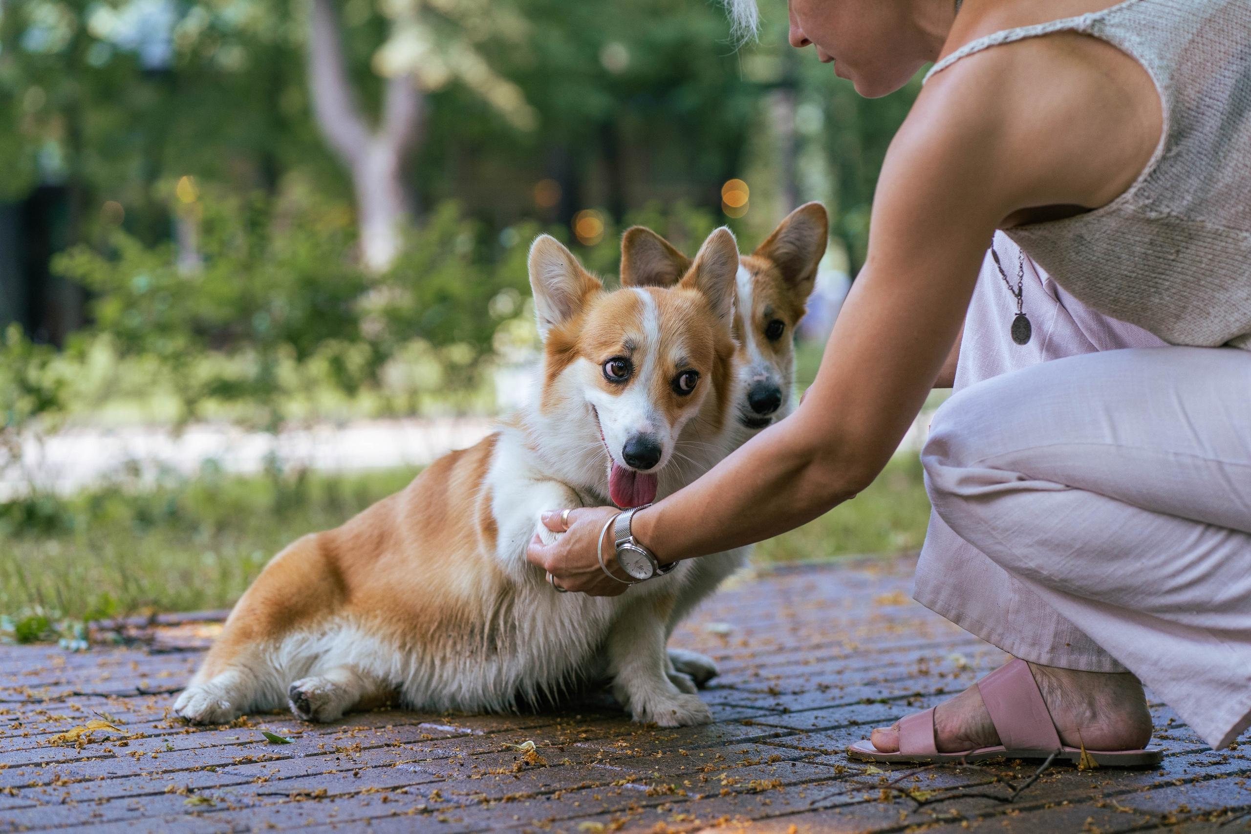 Ольга и коржики. Свадебный фотограф в Москве Анна Полушина
