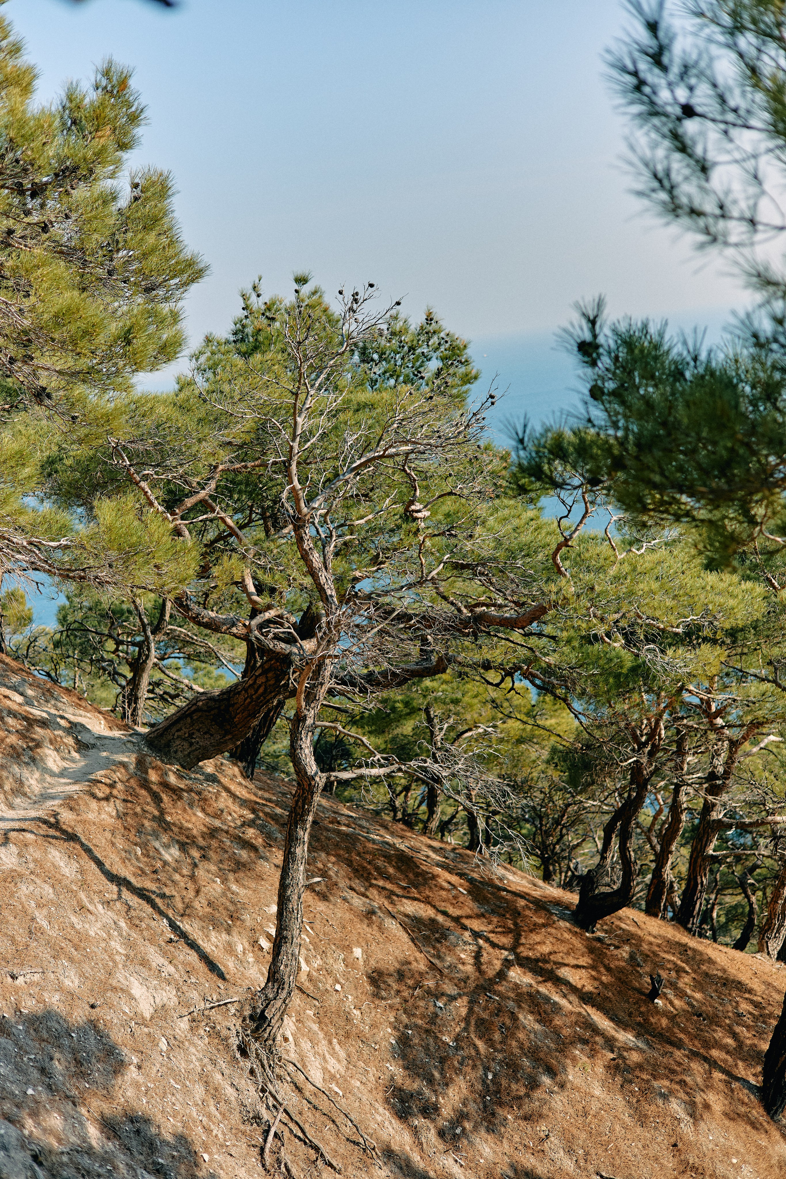 Юг России. Профессиональный Фотограф во Владимире, в Москве и в Суздале — Полина Романычева