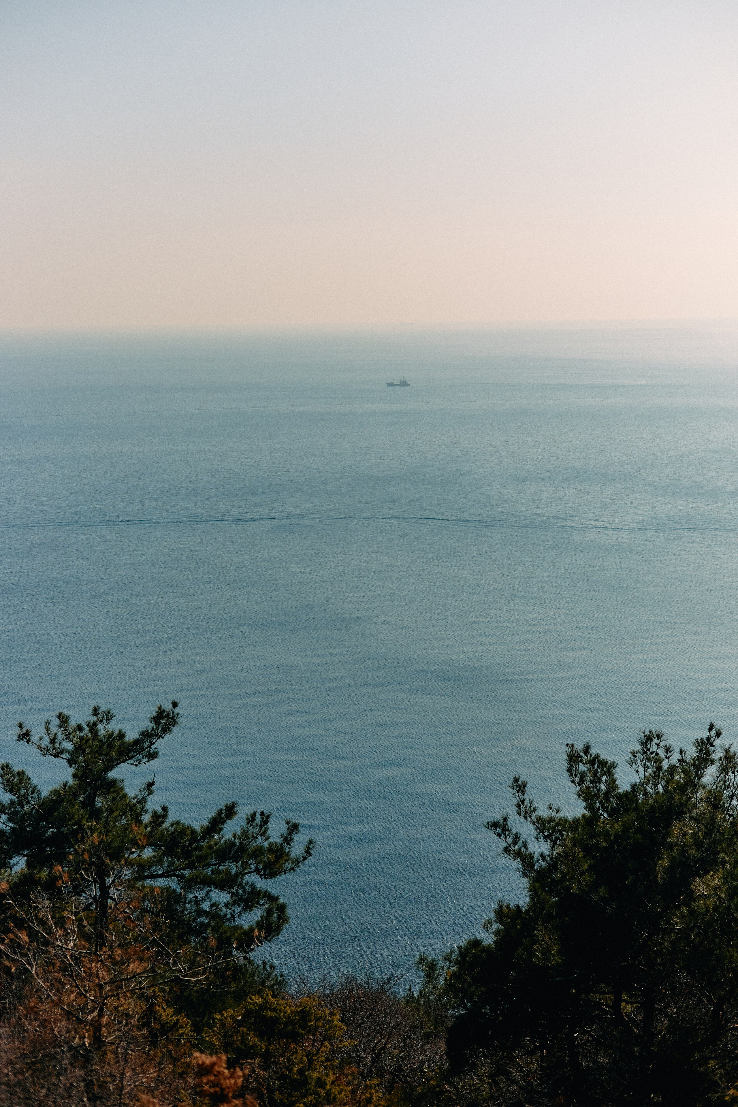 Юг России. Профессиональный Фотограф во Владимире, в Москве и в Суздале — Полина Романычева