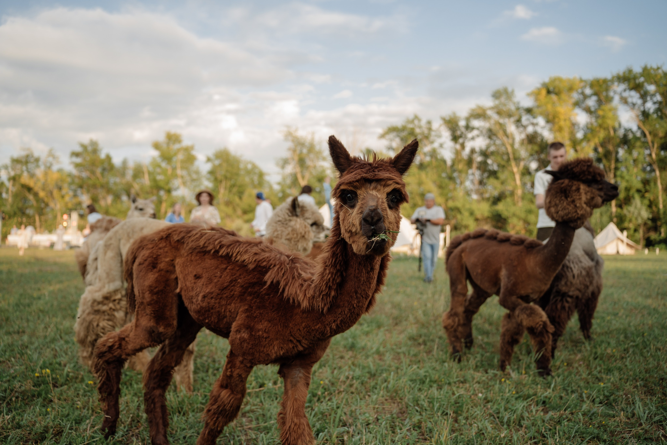 Где бы я не был, где бы ты не была, ты мое небо. Свадебный фотограф Тольятти Москва Адамова Виктория