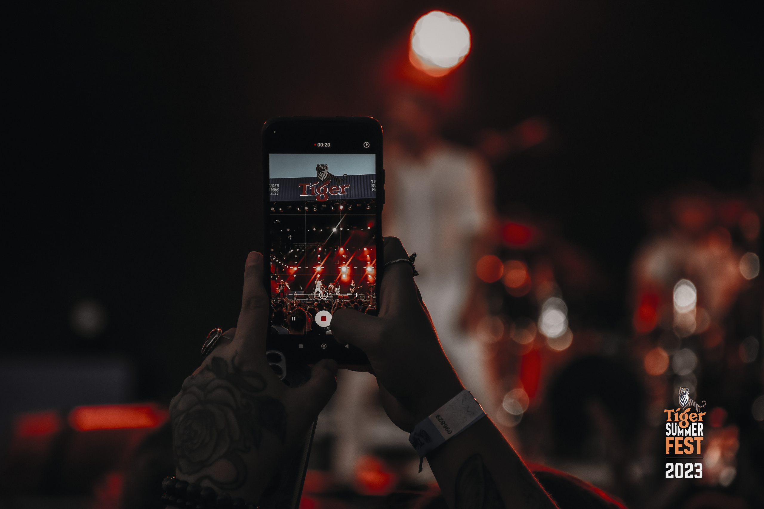 Tiger Fest. Фотограф в Алматы