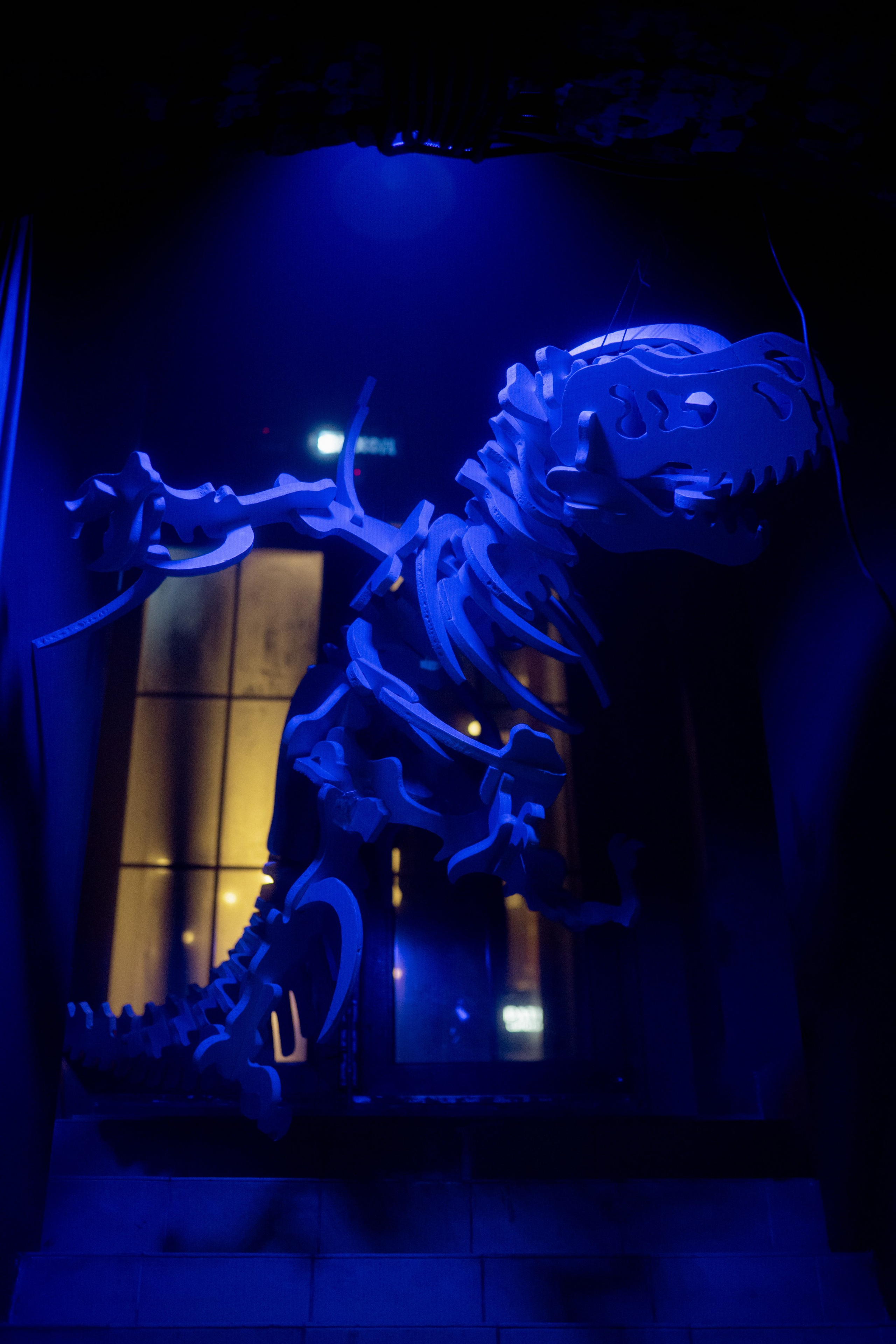 Кратная Звезда | JUNGLE WAVE. Фотограф Vika Rin