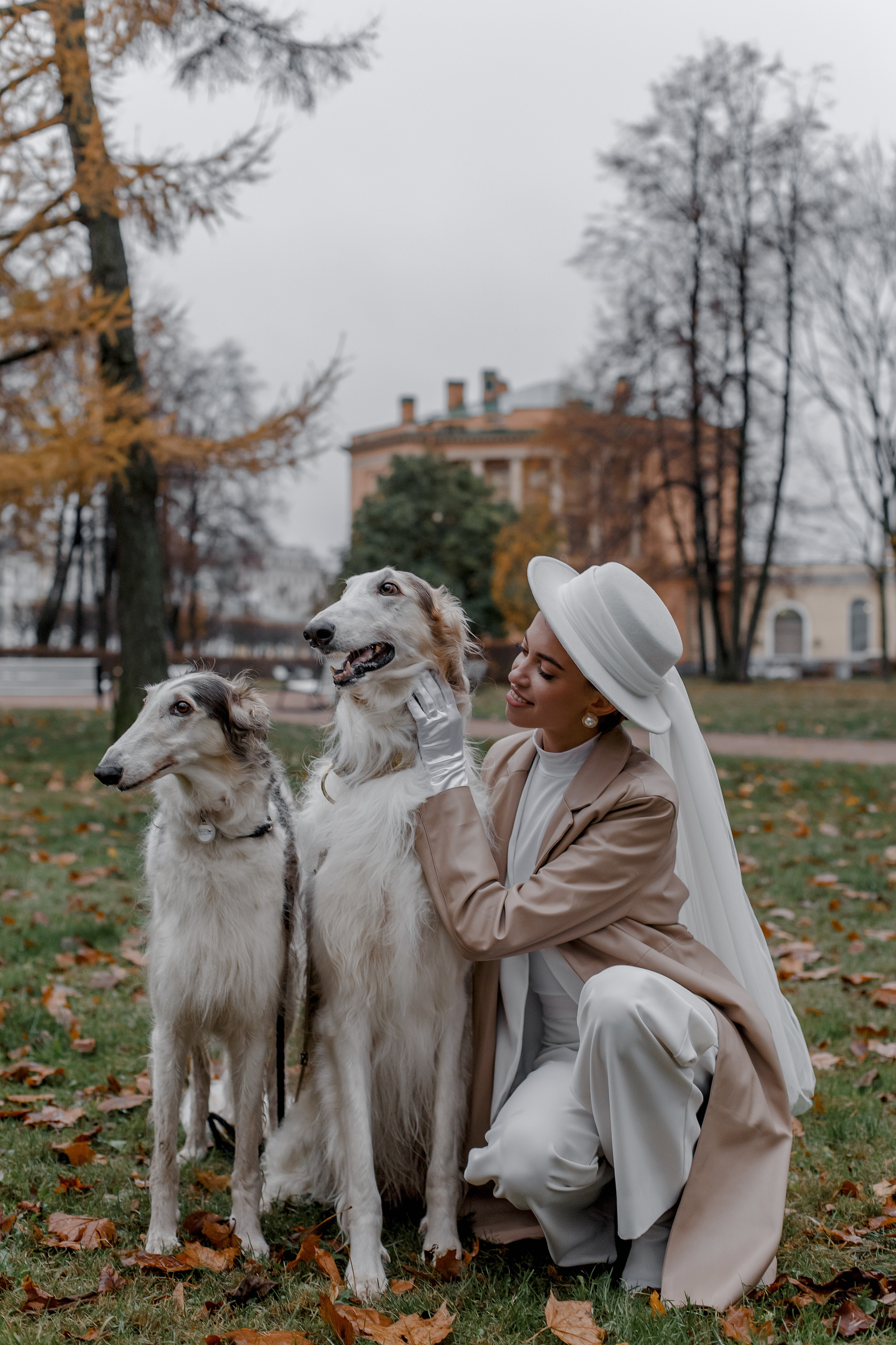 Степан и Ульяна, свадьба с Авганскими борзыми. Свадебный фотограф Санкт-Петербург  Москва