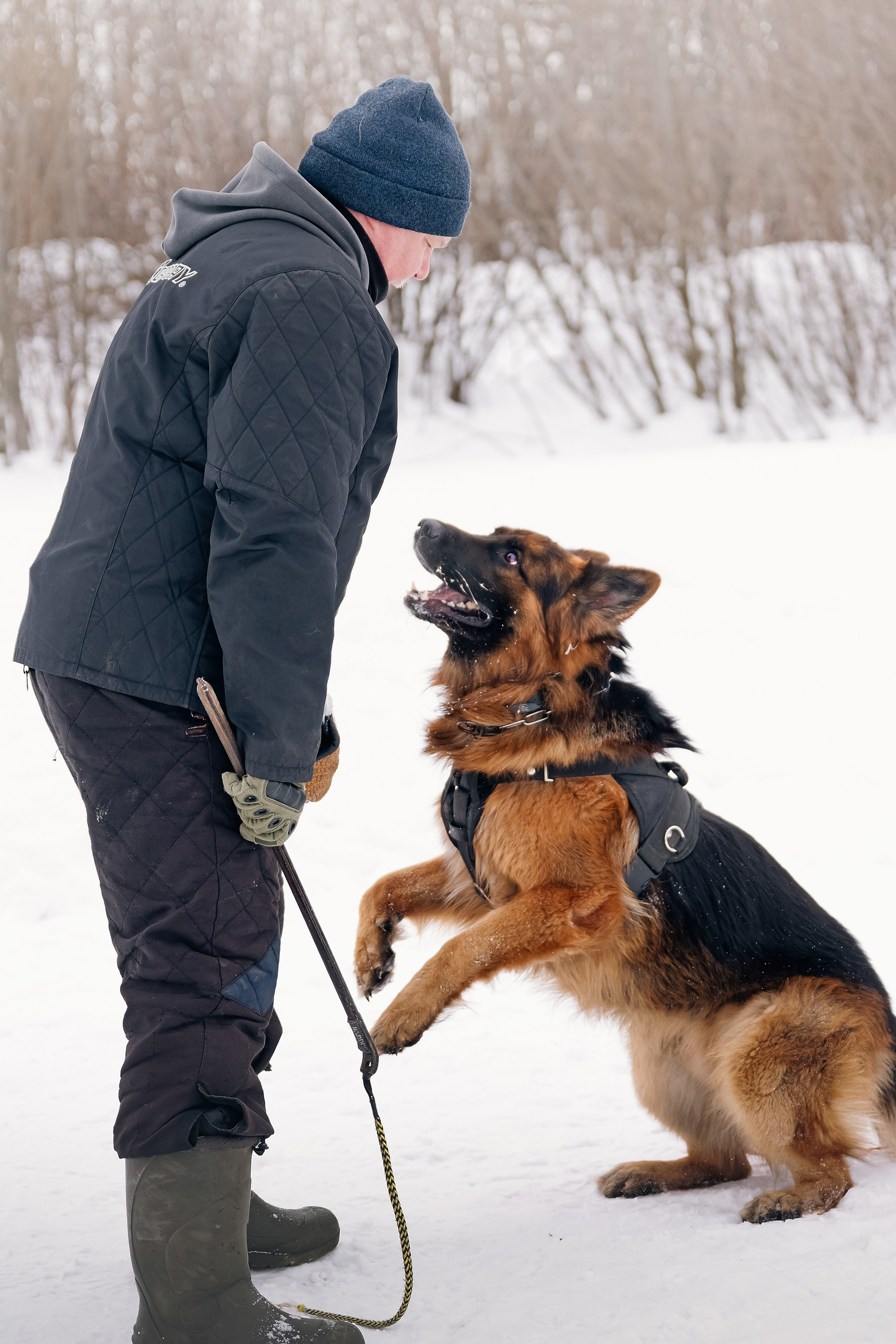 Репортажная съемка. Фотограф-анималист Нижний Новгород