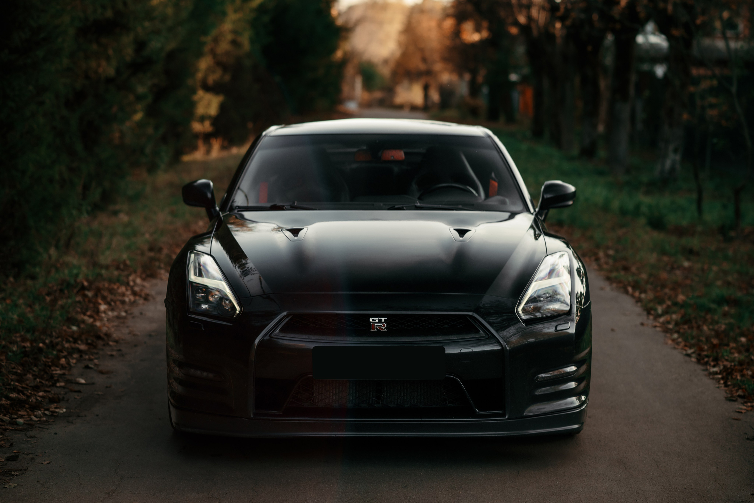 Nissan GT-R35 autumn vibe. DeLorein
