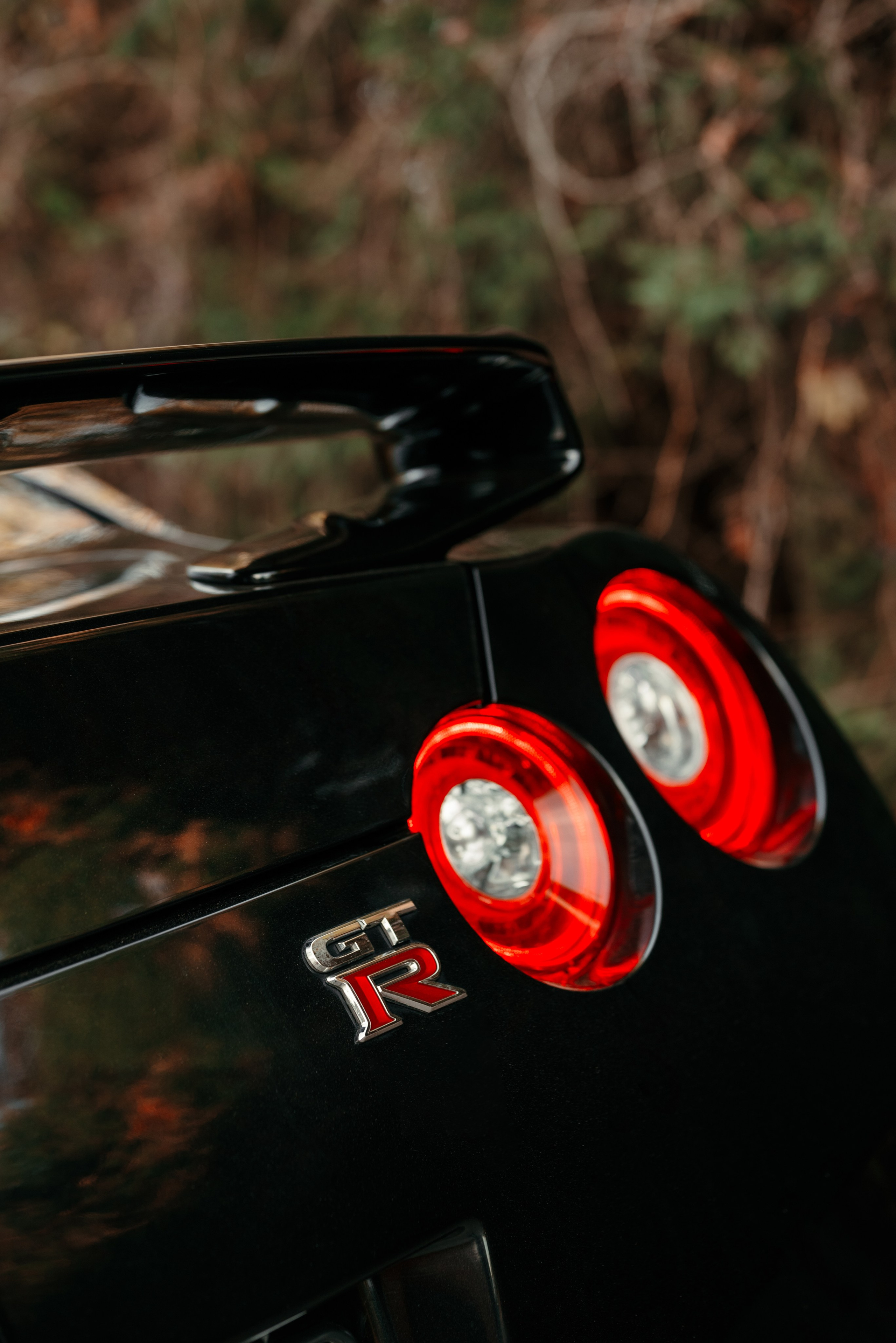 Nissan GT-R35 autumn vibe. DeLorein