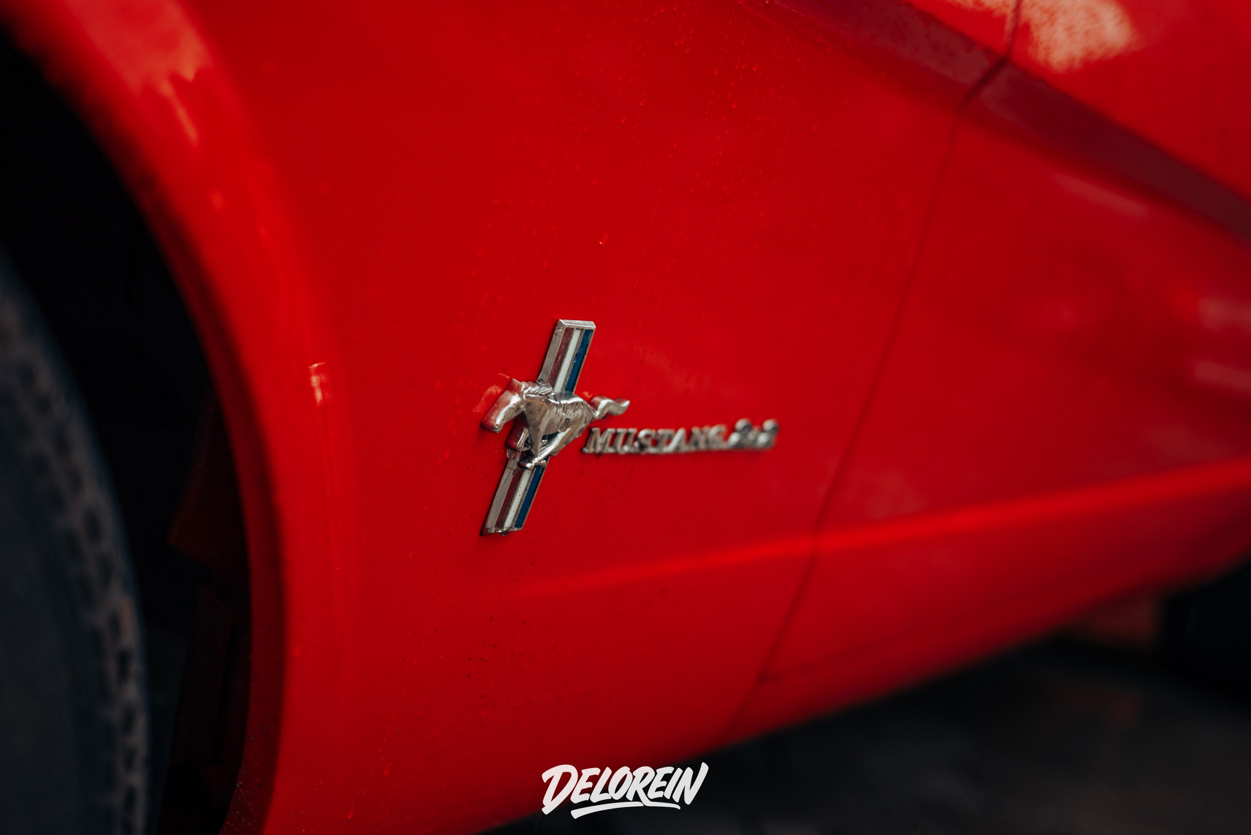 CIAY meet 27 сентября 2025. DeLorein