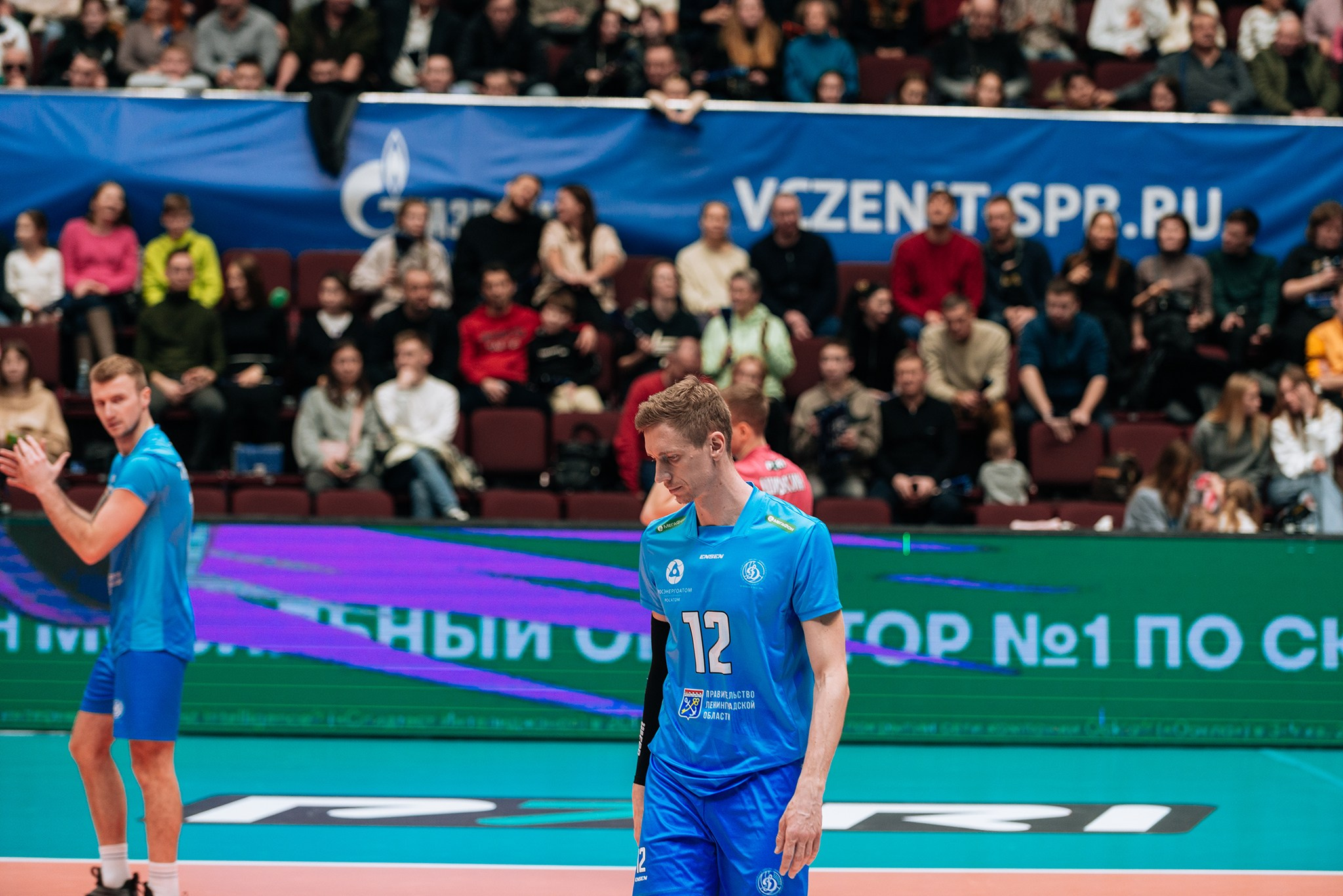 Зенит — Динамо-ЛО. Чемпионат России по волейболу. Февраль 24. Репортажный фотограф в Санкт-Петербурге Анастасия Клёпова