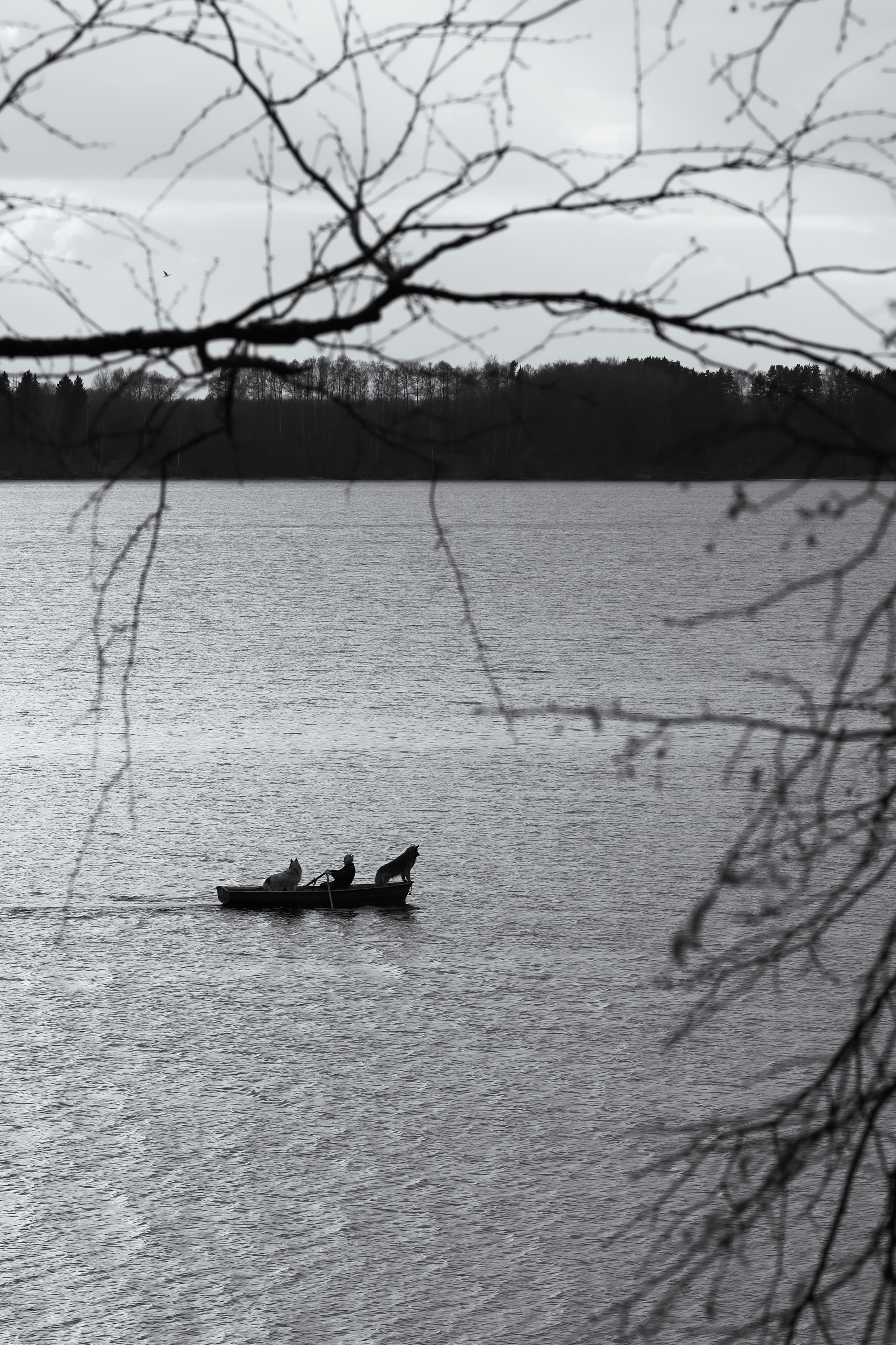 Стрит фото Москва. Фотограф Лобанов Антон, г. Москва
