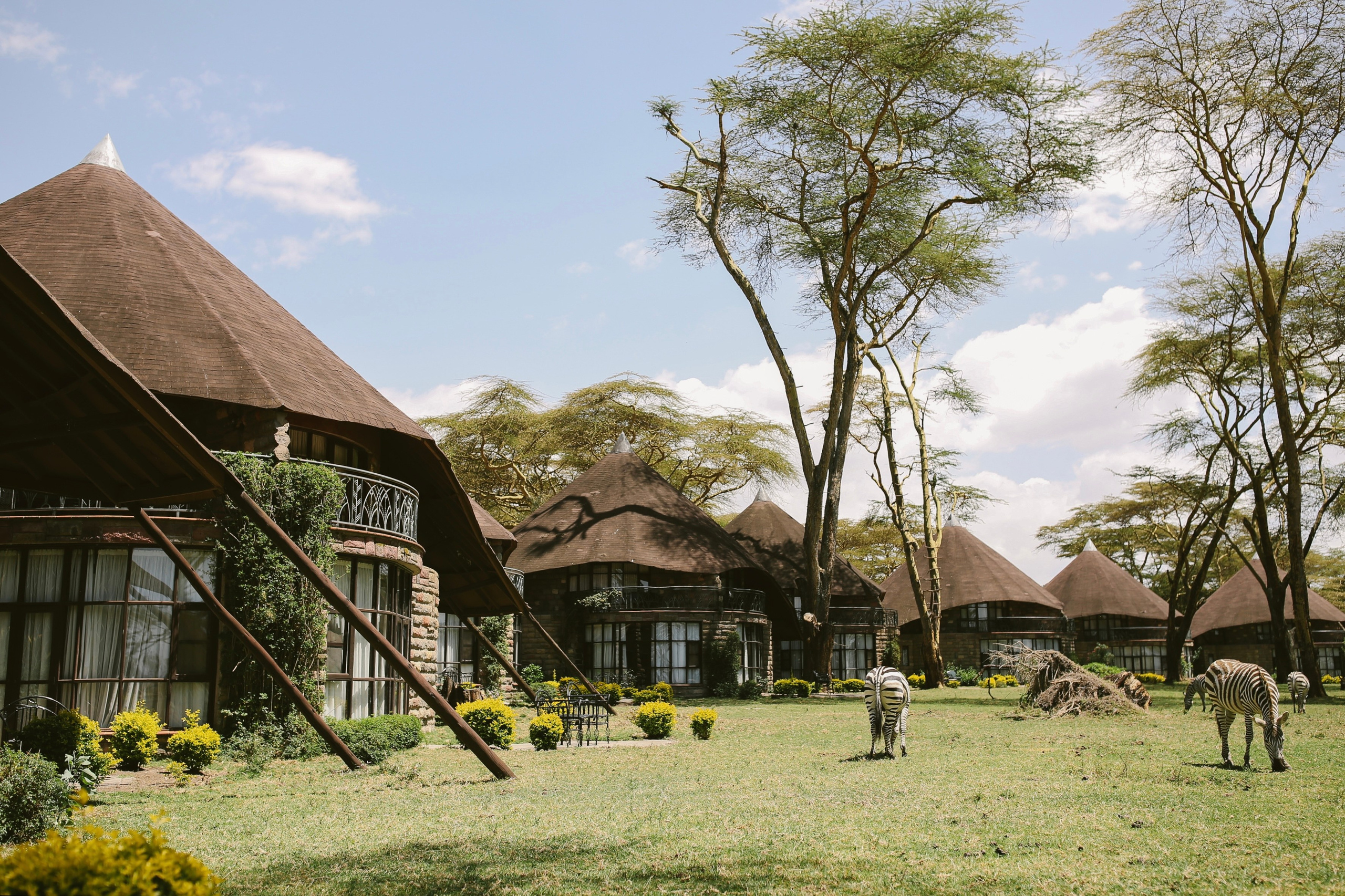 Kenya. Safari. Ekaterina Buneeva Photography