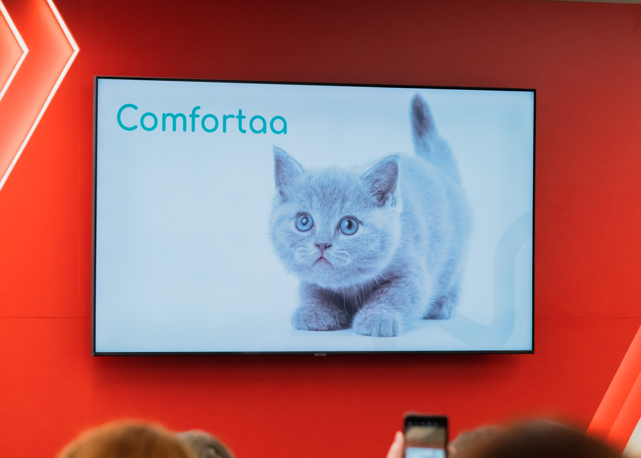 Дизайн Квартал 2024. Фотограф-анималист Ксения Воробьева, Москва