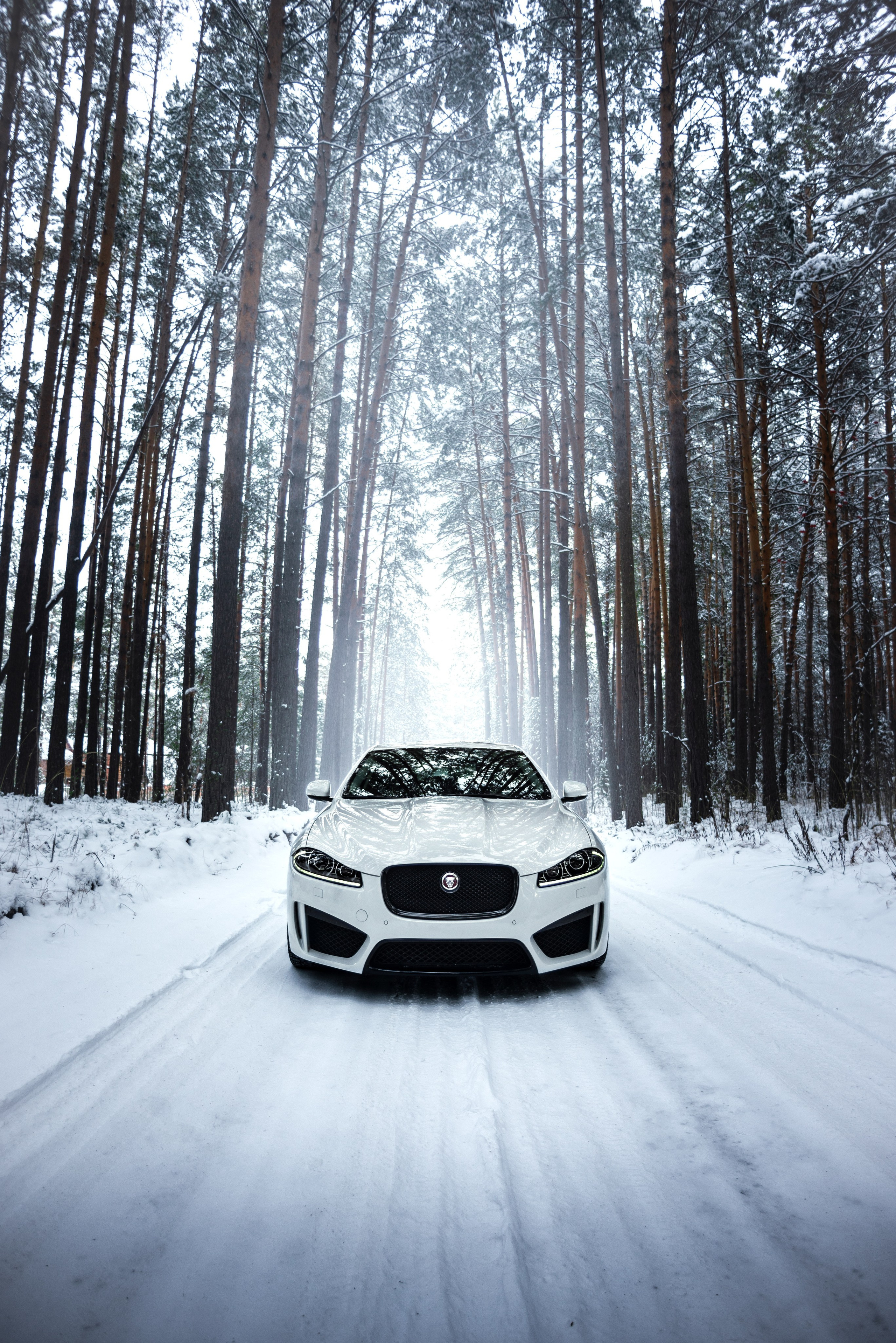 Jaguar XF. Автомобильный фотограф 3VIPHOTO #Томск