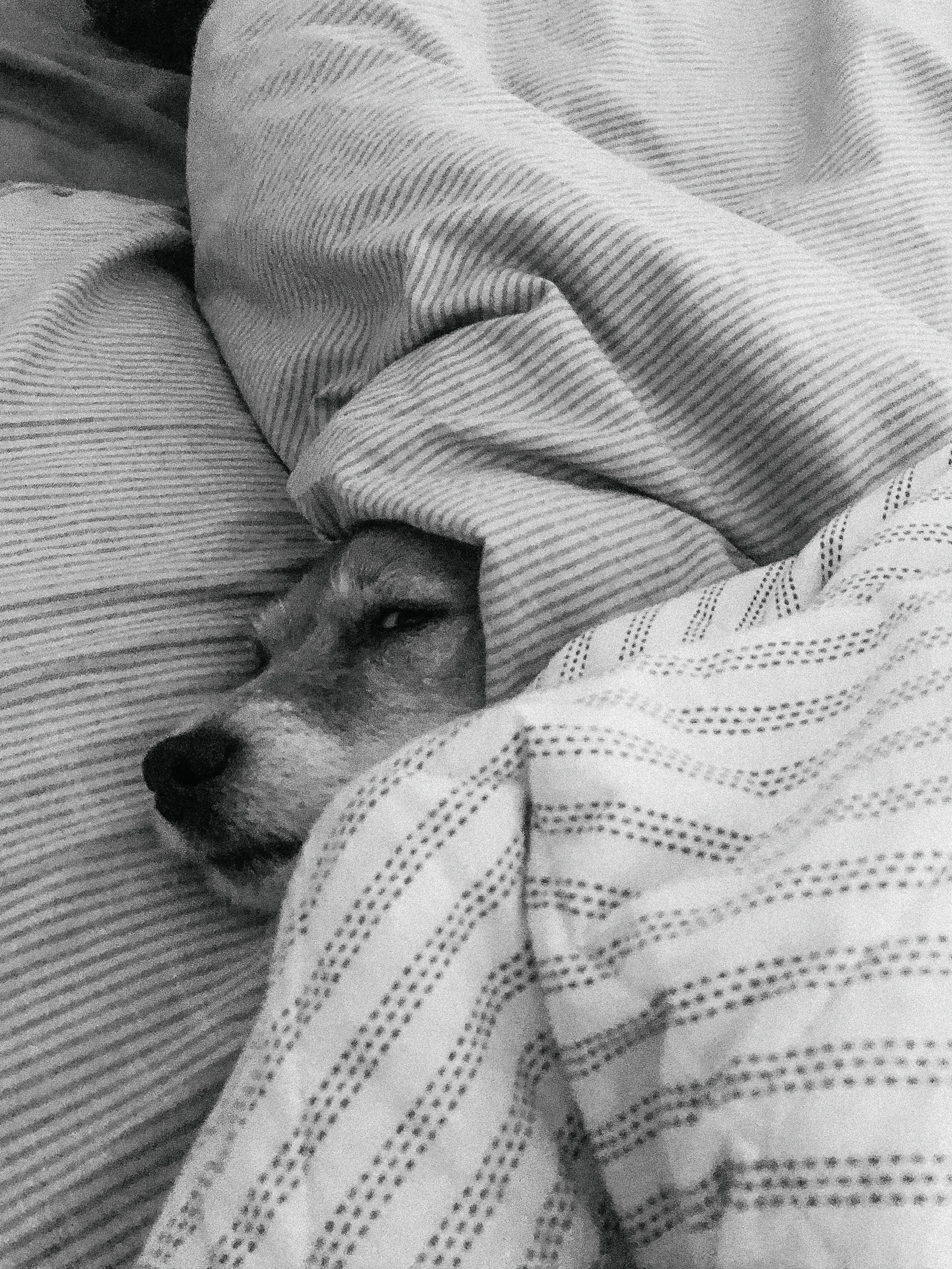 Yōko. Семейный фотограф в Москве Вики О»