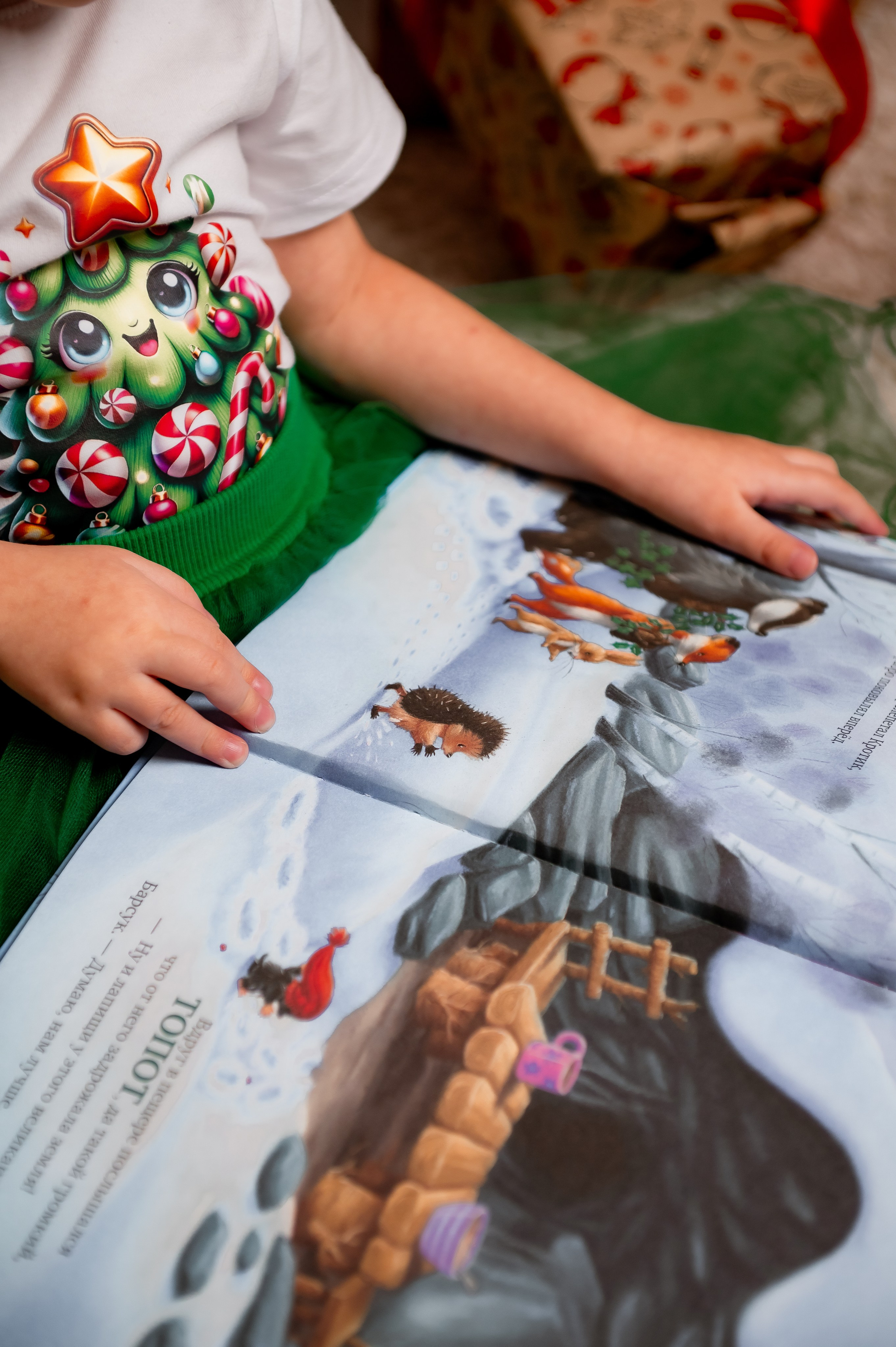 Фотопроект Новый год 2026. Фотограф г. Карталы Гаврушева Елизавета