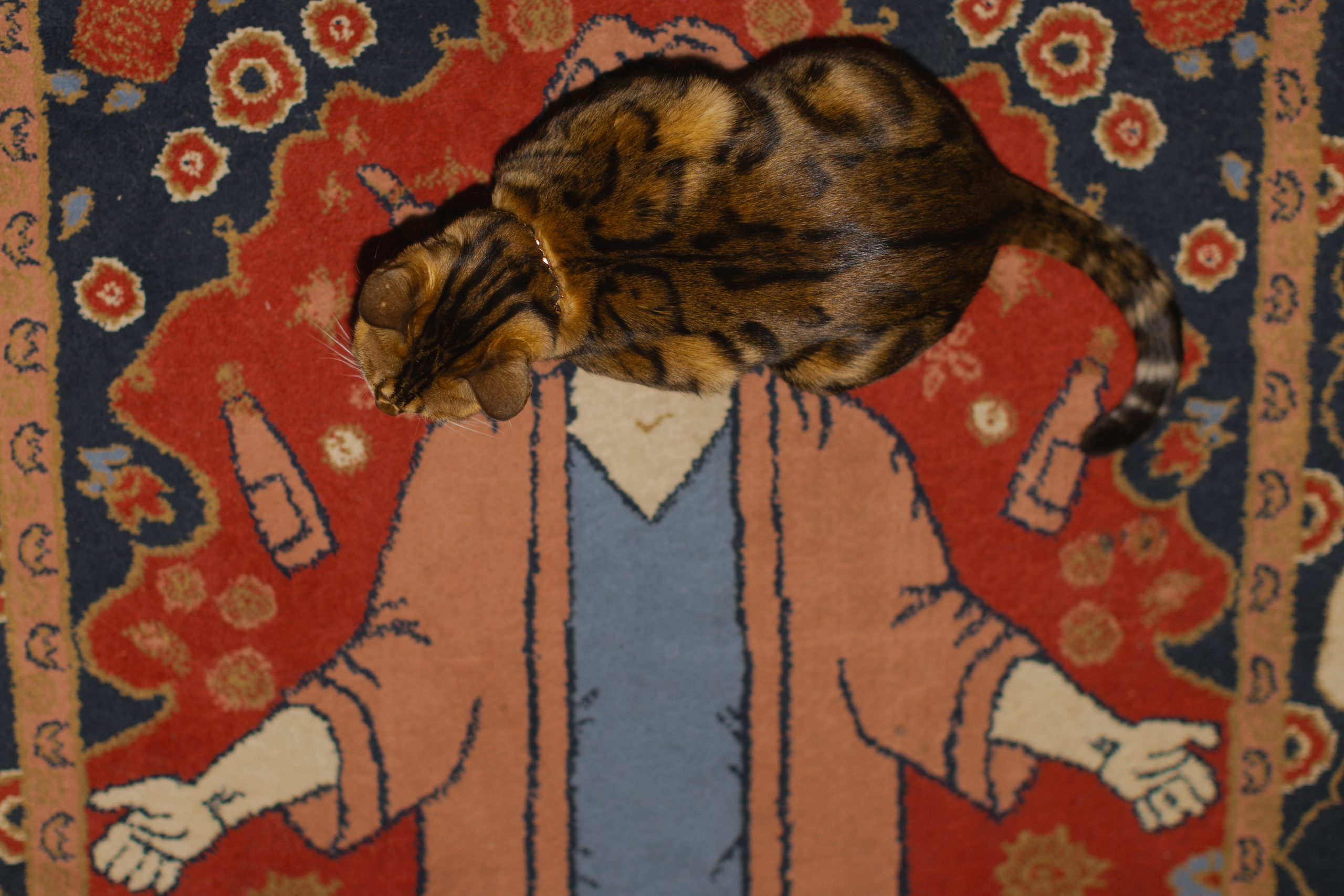 Илья и Лиза. @dariazphoto свадебный фотограф