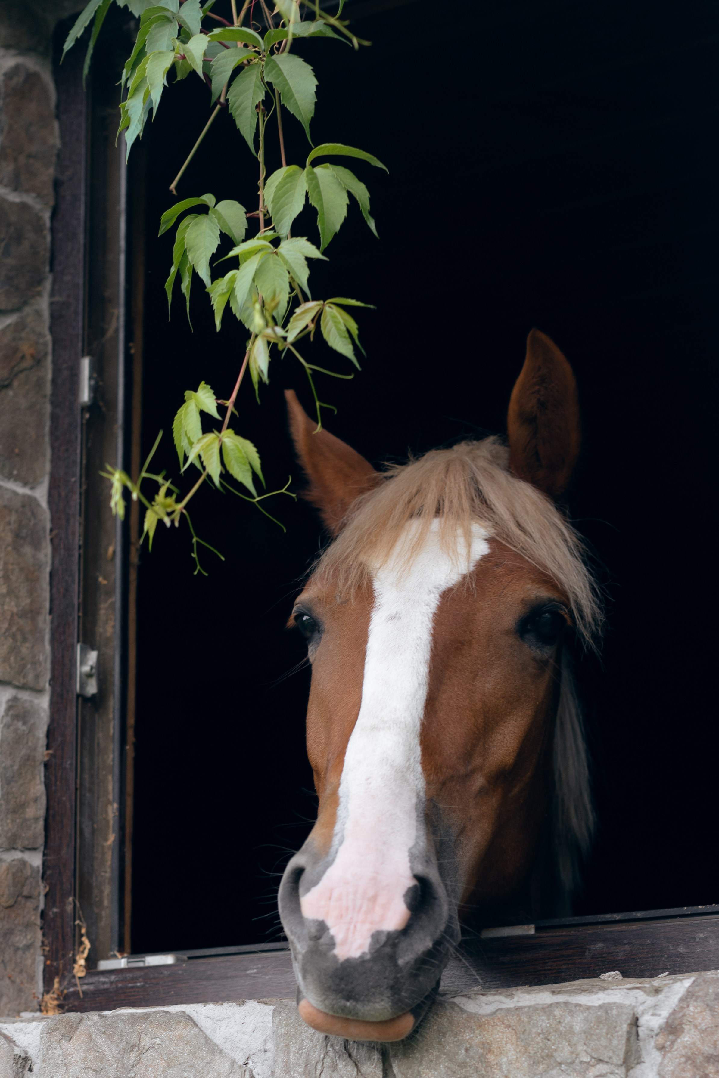 Сергей и Татьяна: цветочная летняя свадьба для близких. @dariazphoto свадебный фотограф