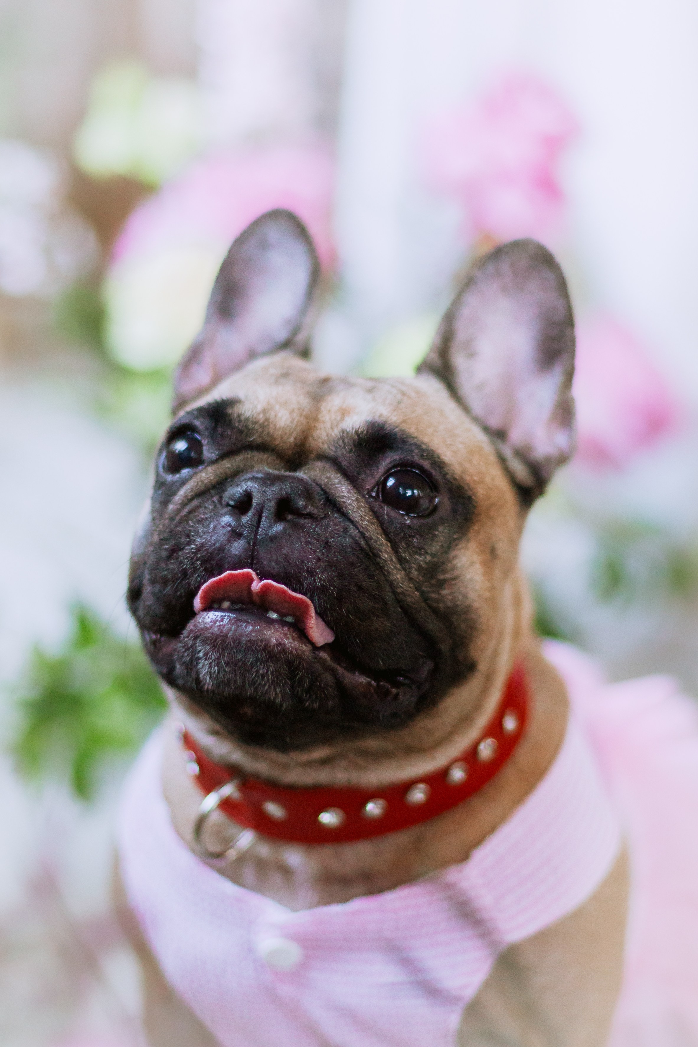 Наталья и Фрося. Фотограф-анималист Татьяна Степанова